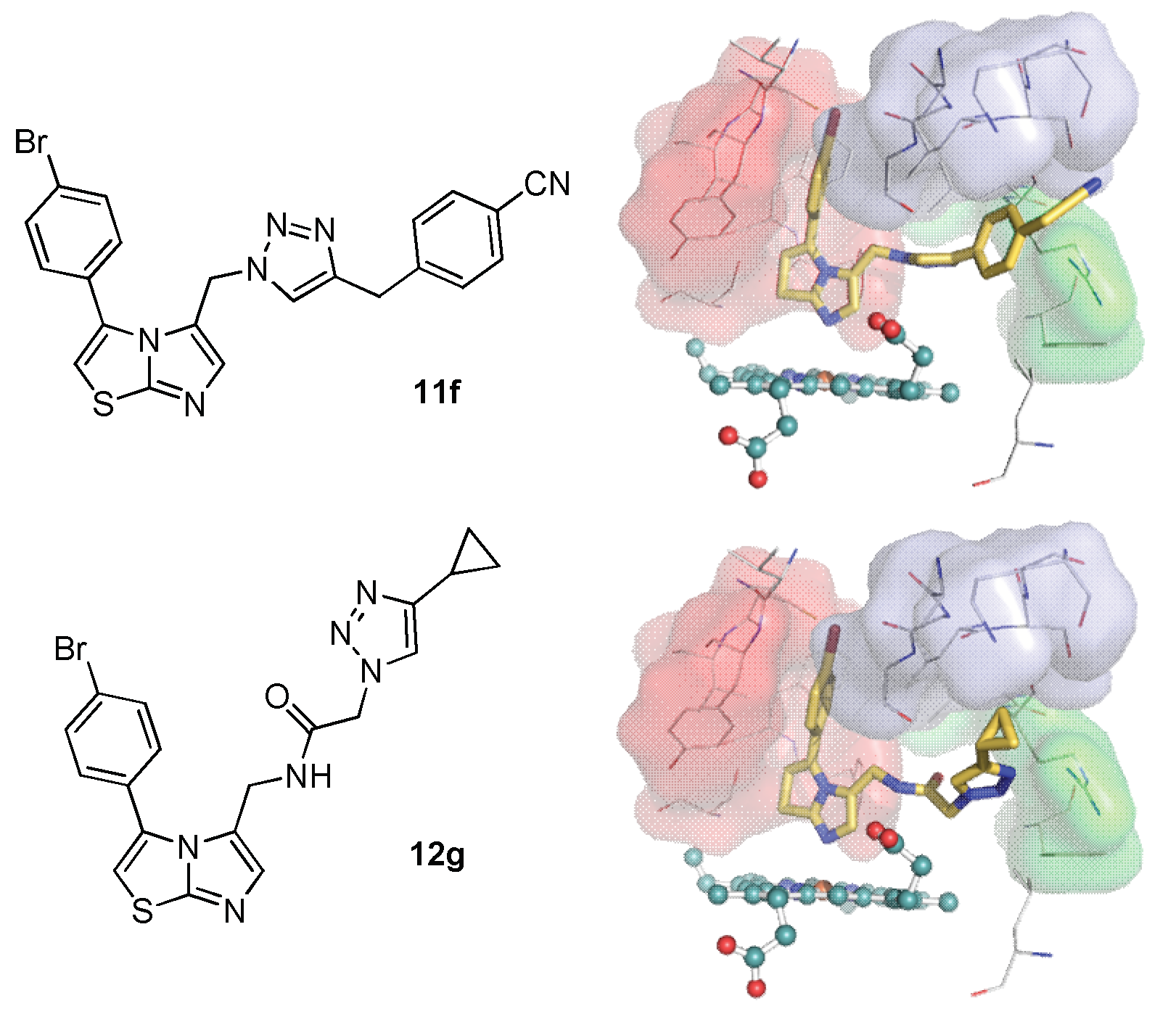 Molecules 24 01874 g003