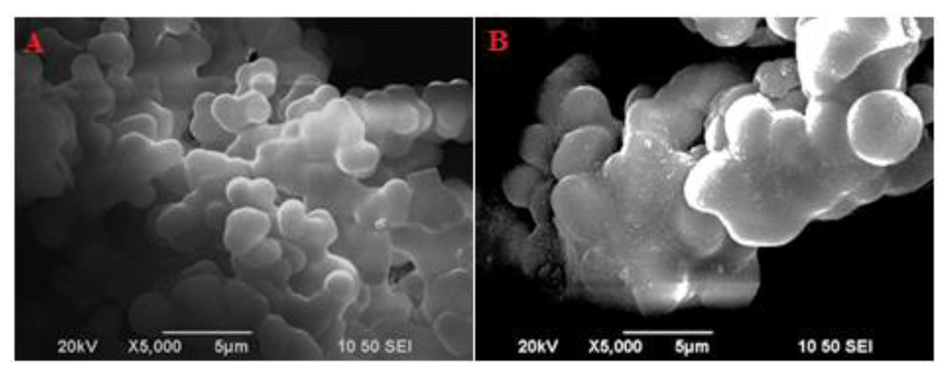 Molecules 24 01881 g006 Molecules 24 01881 g006