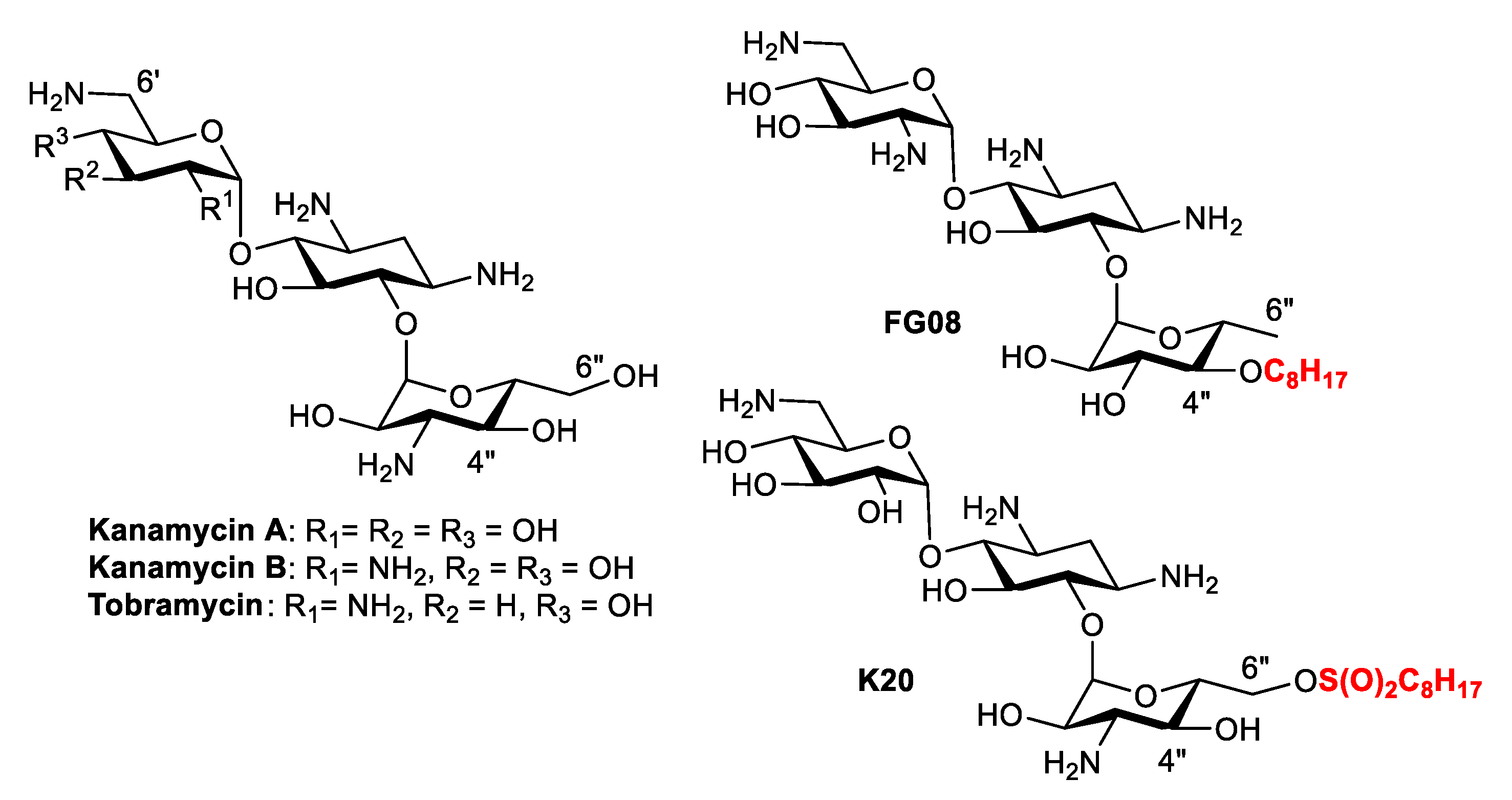 Molecules 24 01882 g001