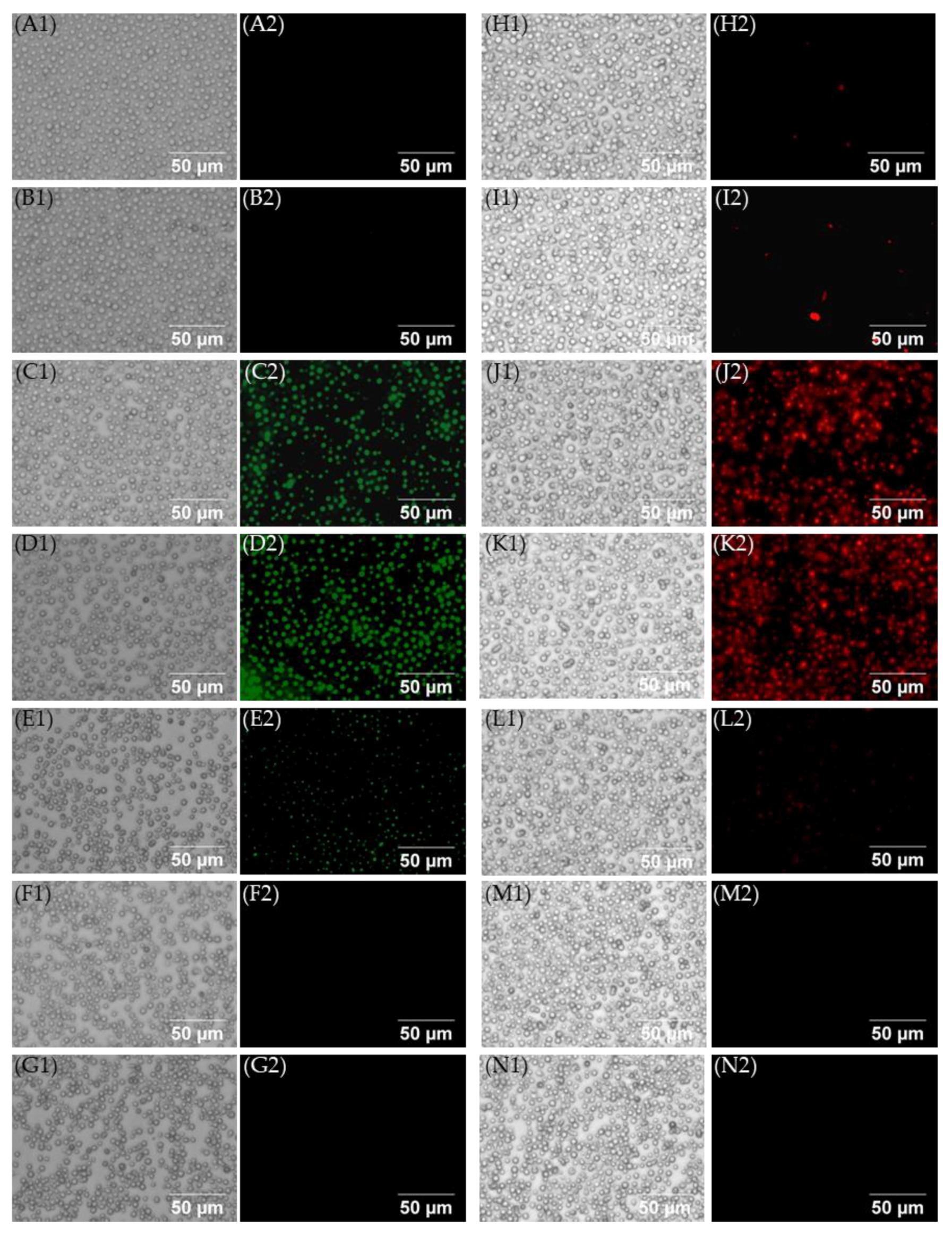 Molecules 24 01882 g008
