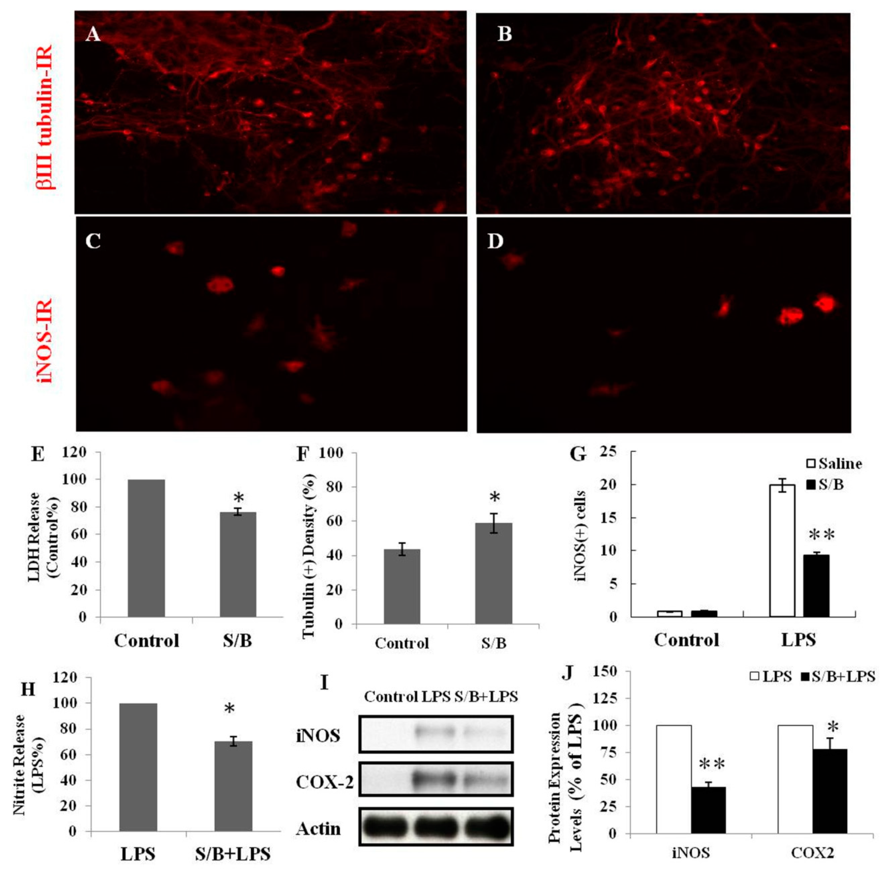 Molecules 24 01885 g001
