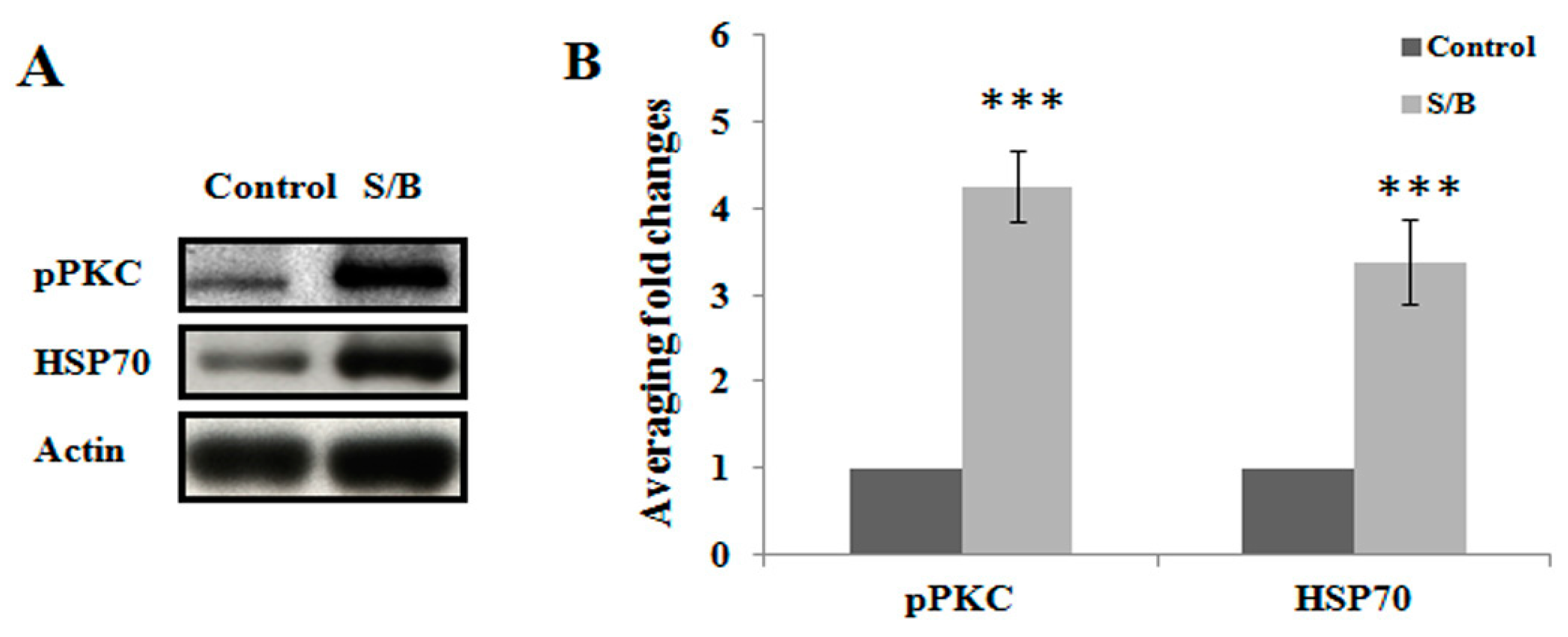 Molecules 24 01885 g003