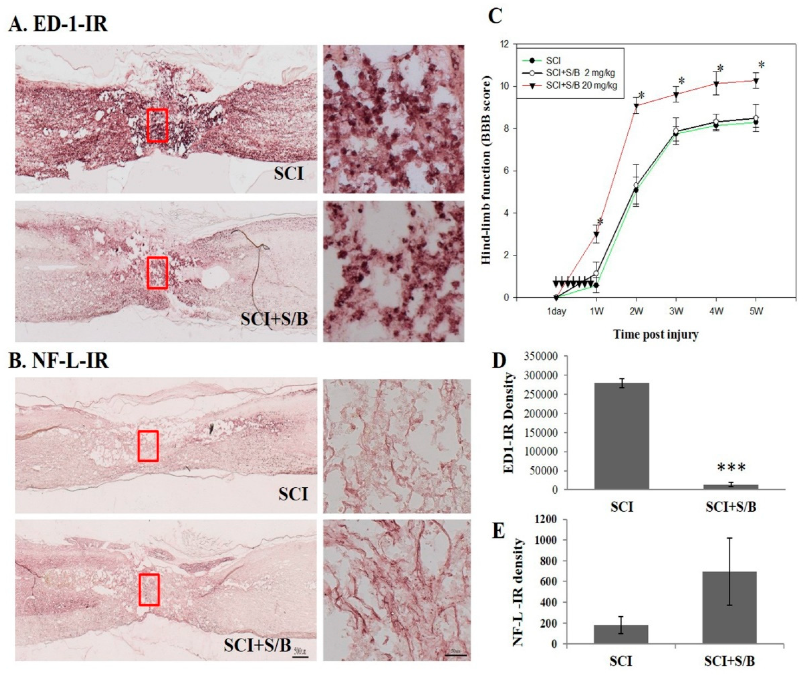 Molecules 24 01885 g006