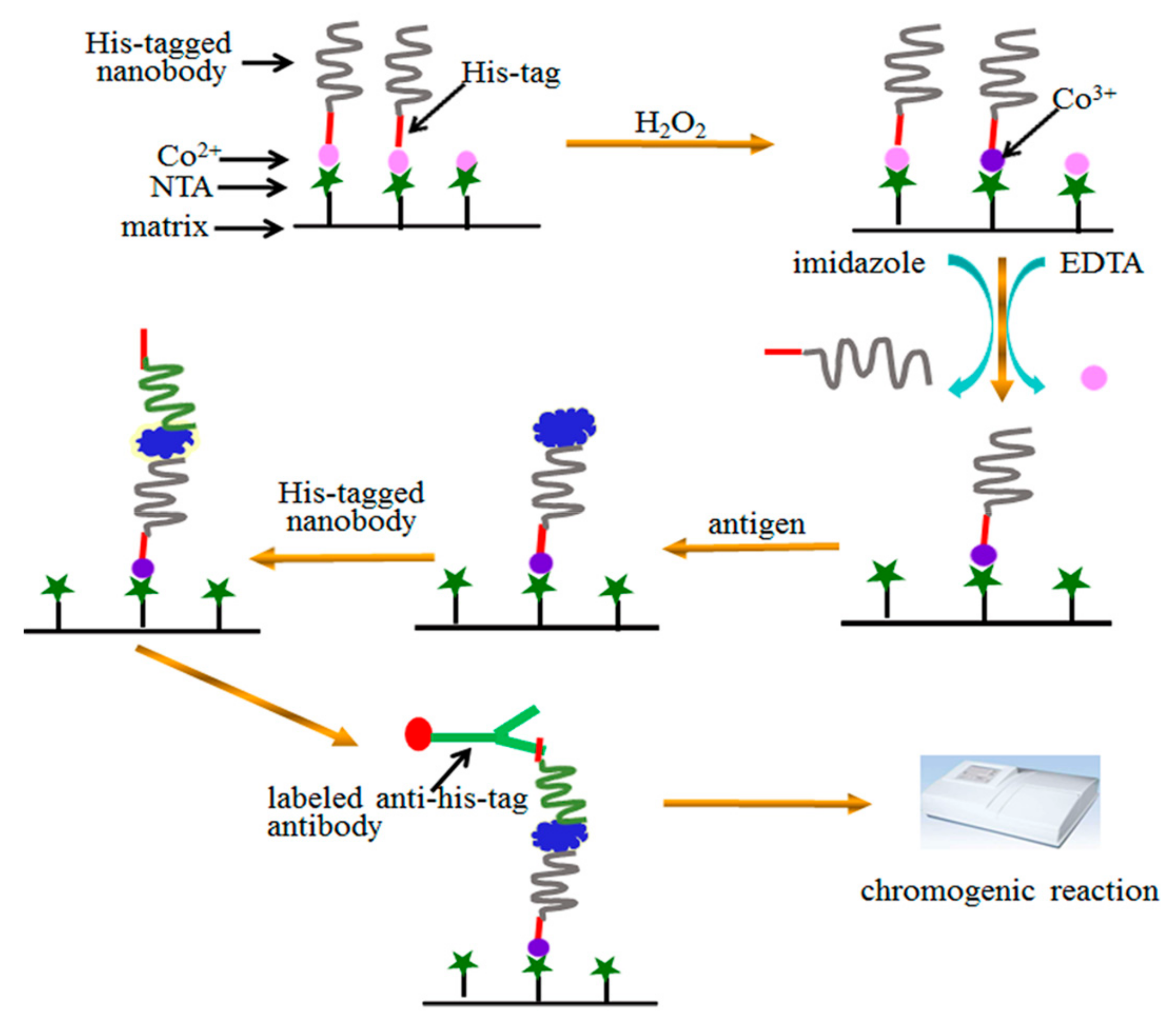 Molecules 24 01890 g005