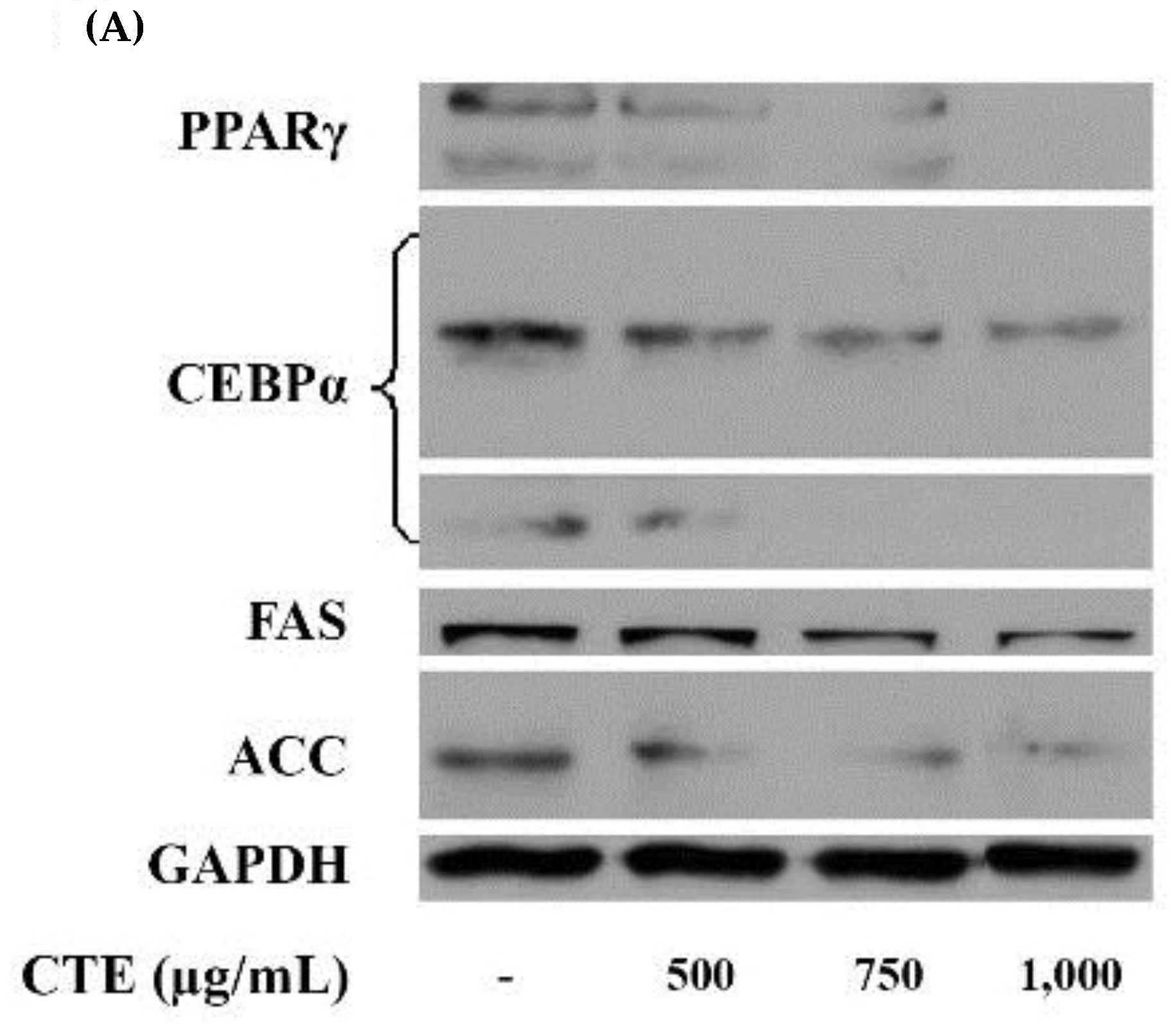 Molecules 24 01894 g008a Molecules 24 01894 g008a