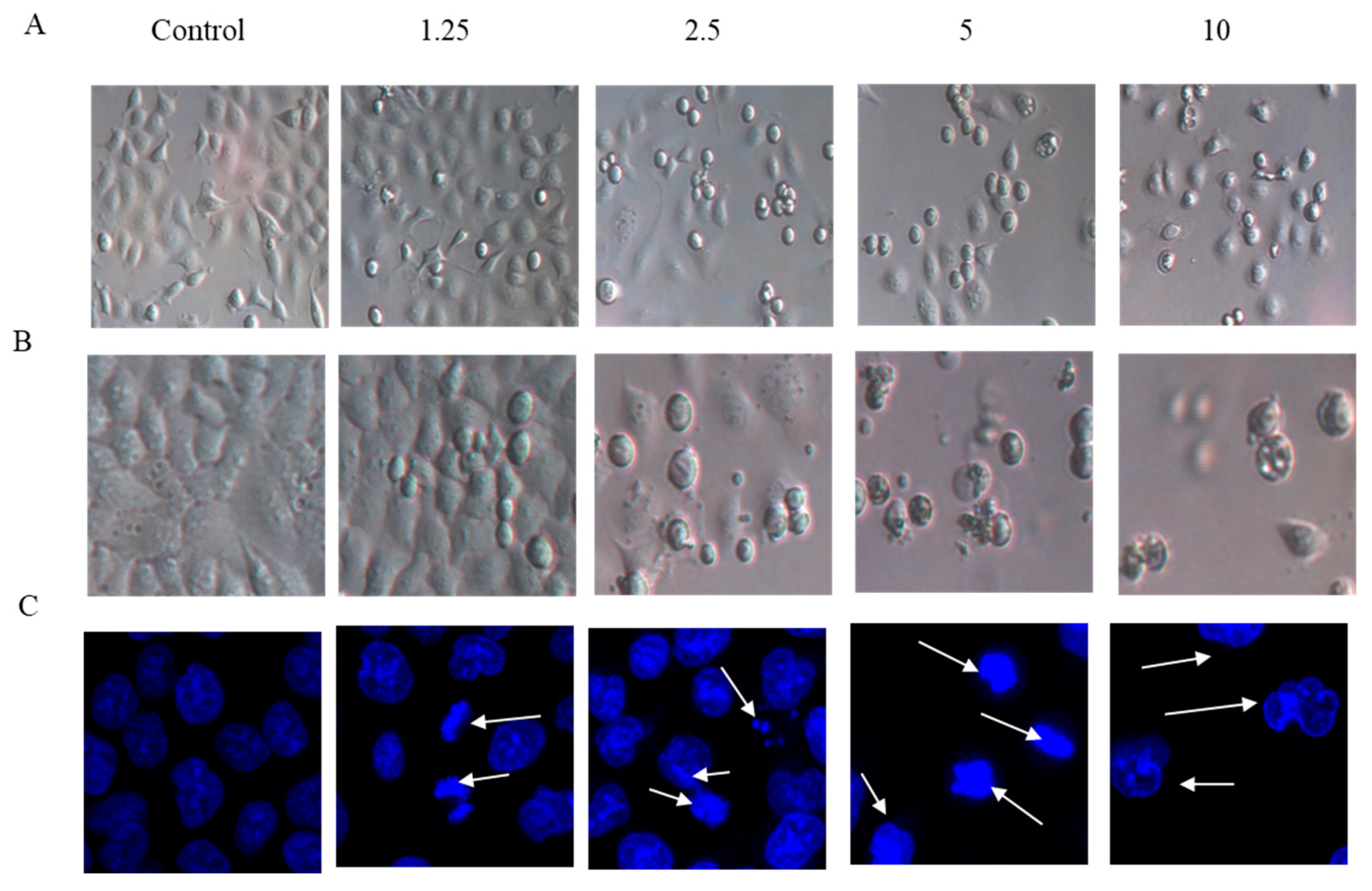 Molecules 24 01908 g003