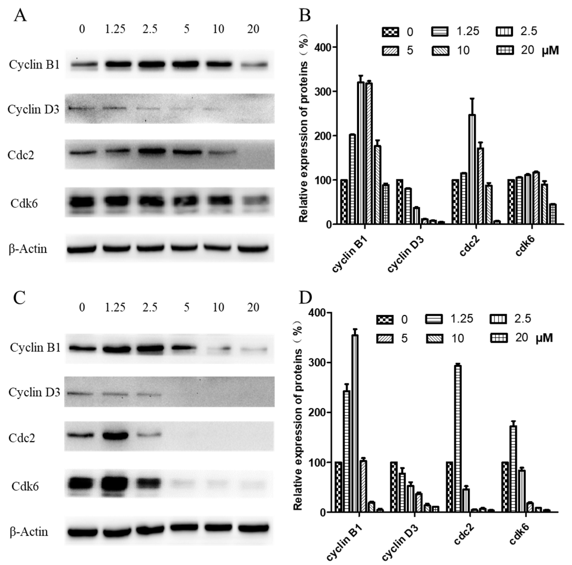 Molecules 24 01908 g006