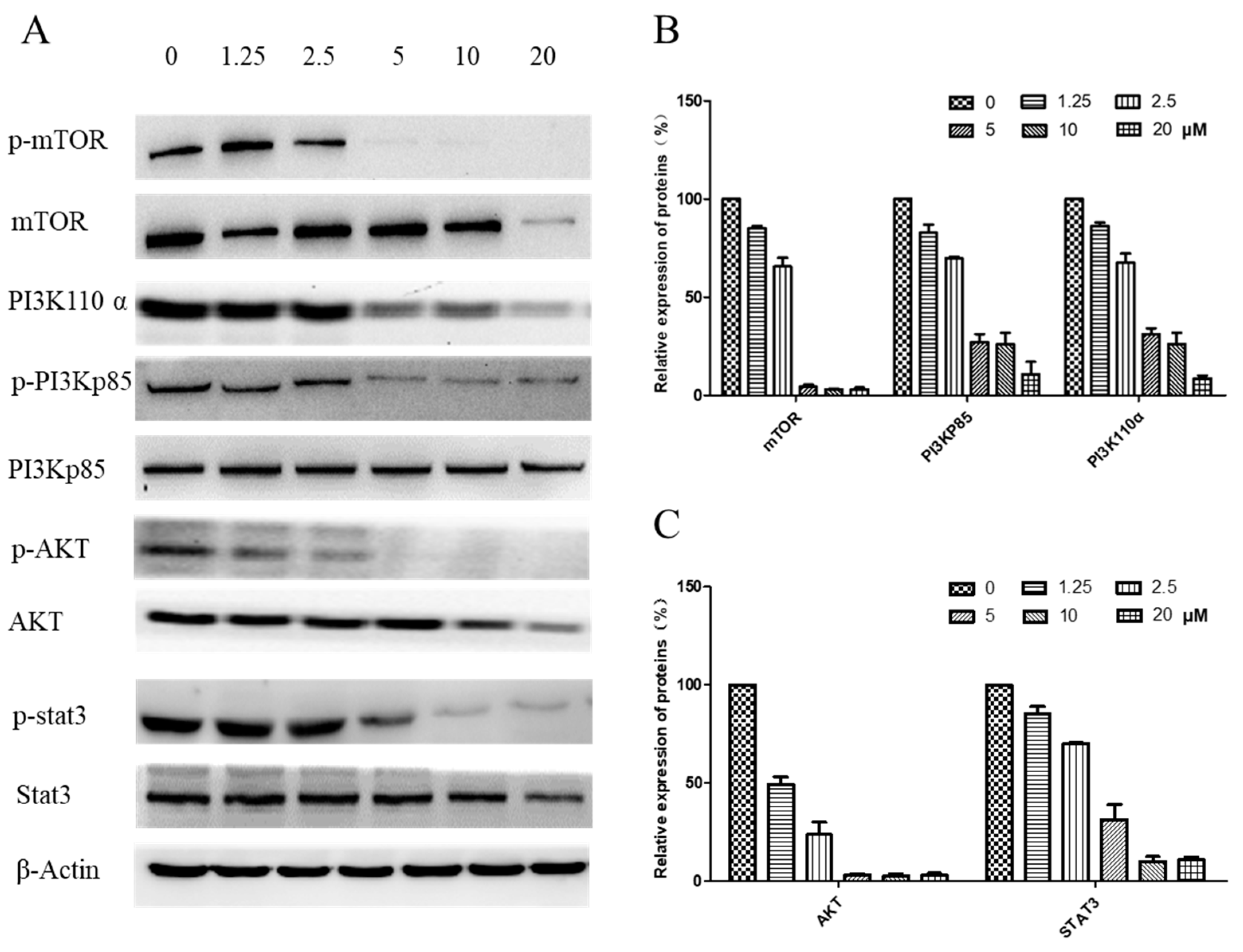 Molecules 24 01908 g008
