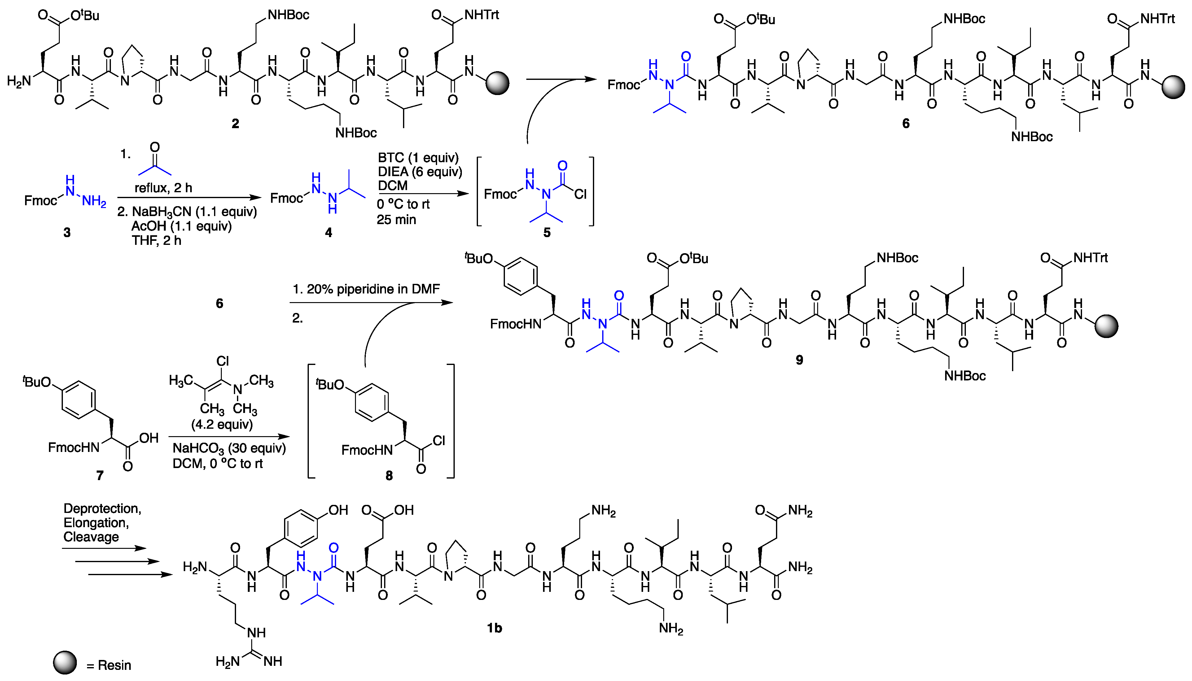 Molecules 24 01919 sch001