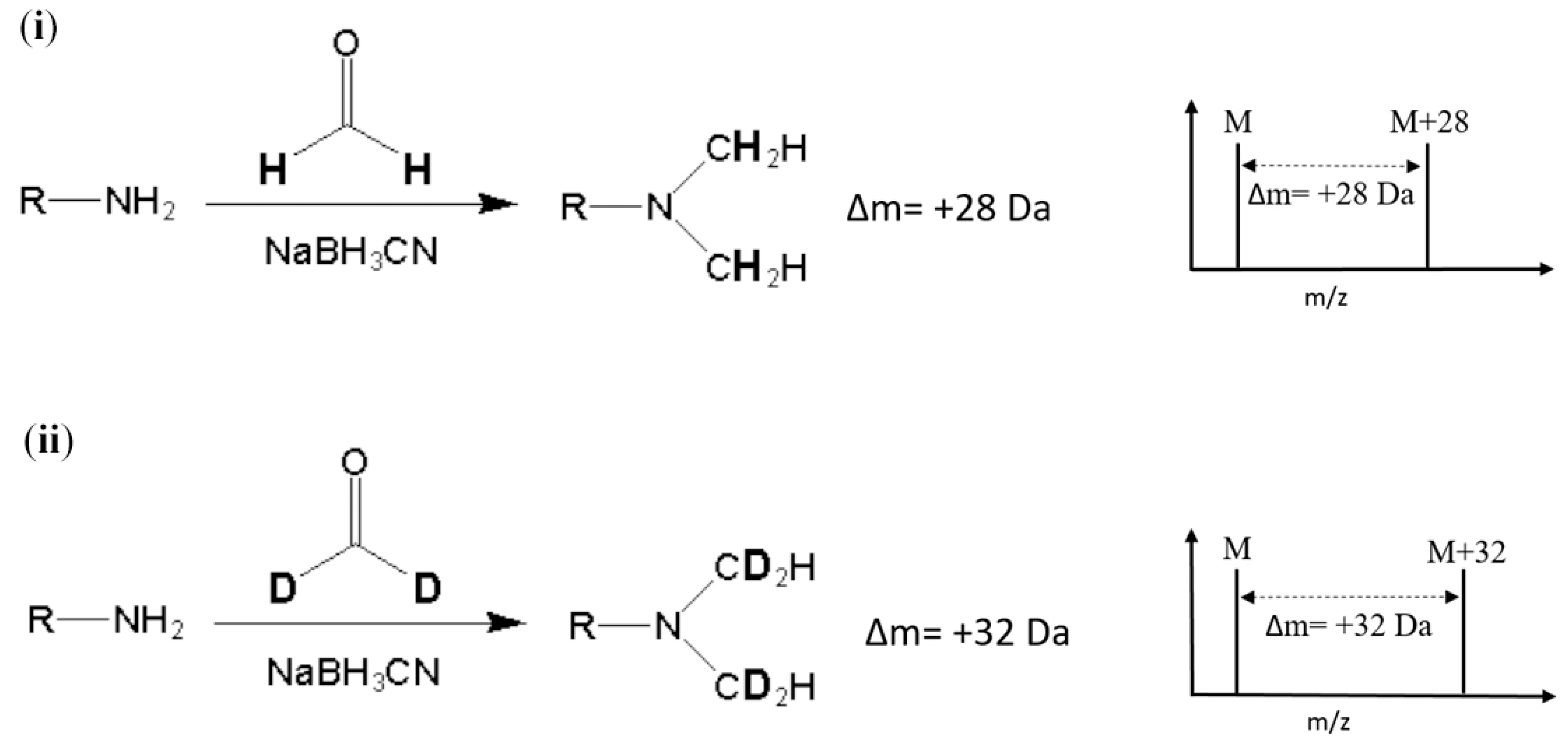 Molecules 24 01920 g001 Molecules 24 01920 g001