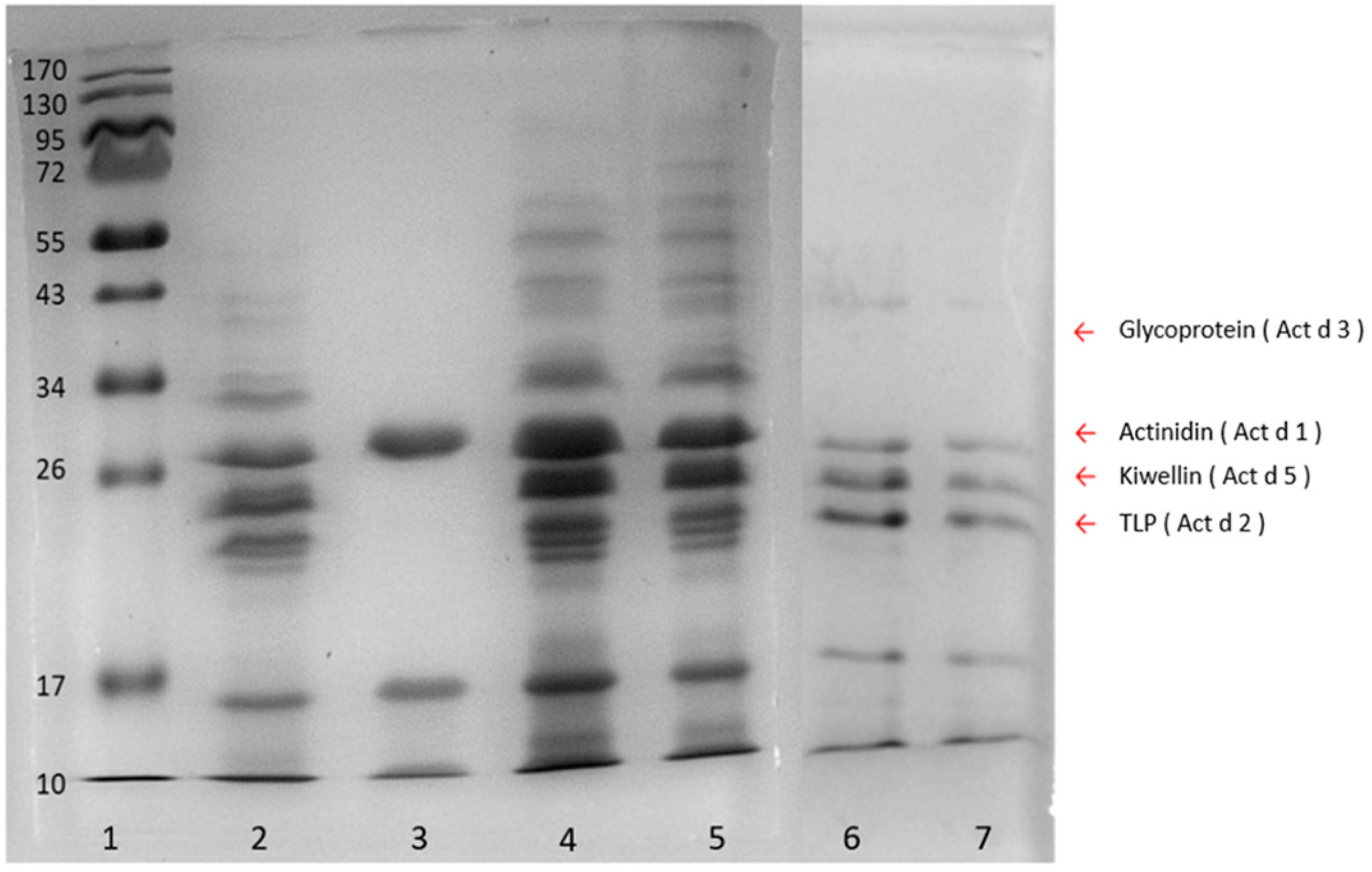 Molecules 24 01920 g002 Molecules 24 01920 g002