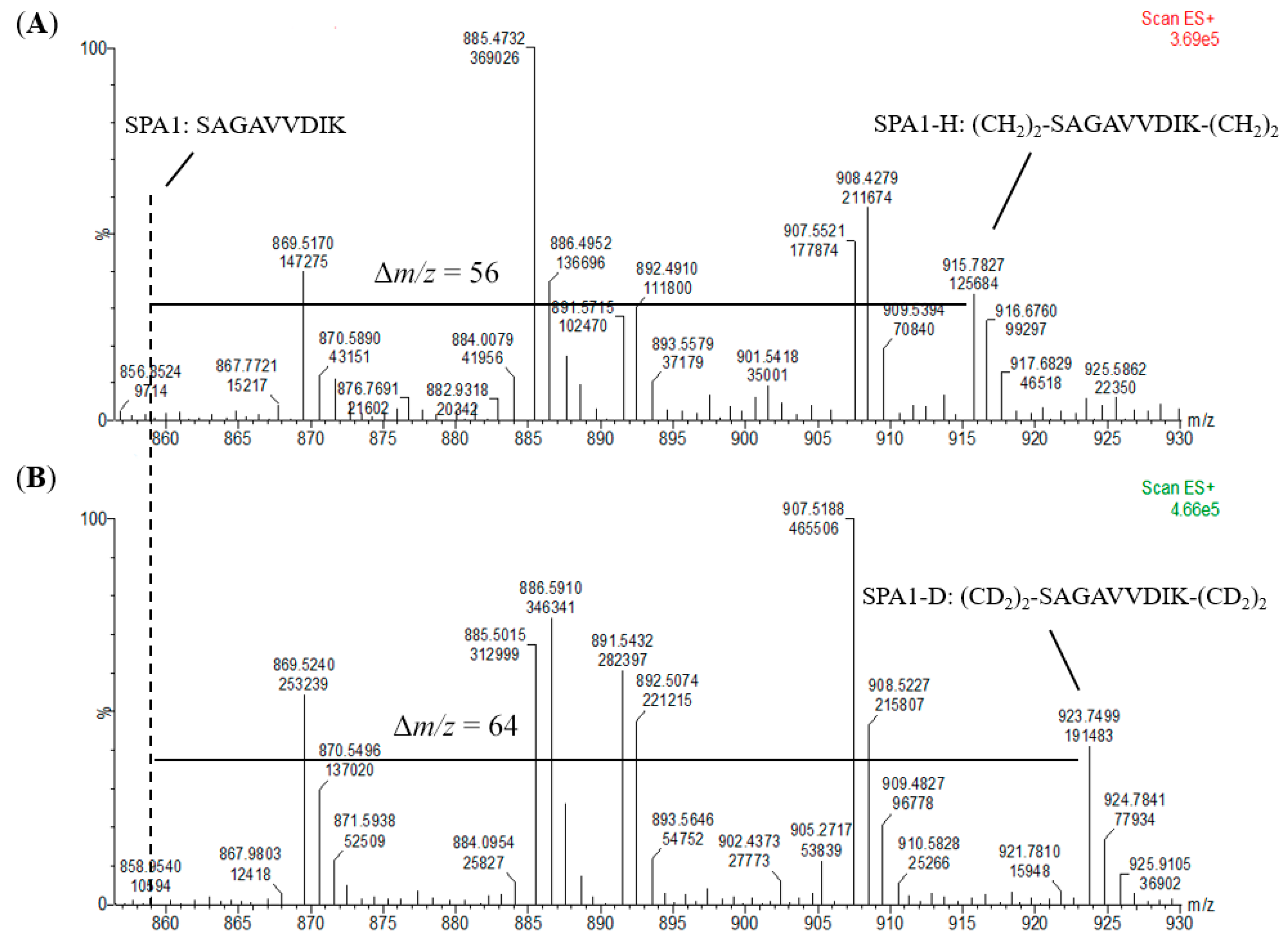 Molecules 24 01920 g004 Molecules 24 01920 g004
