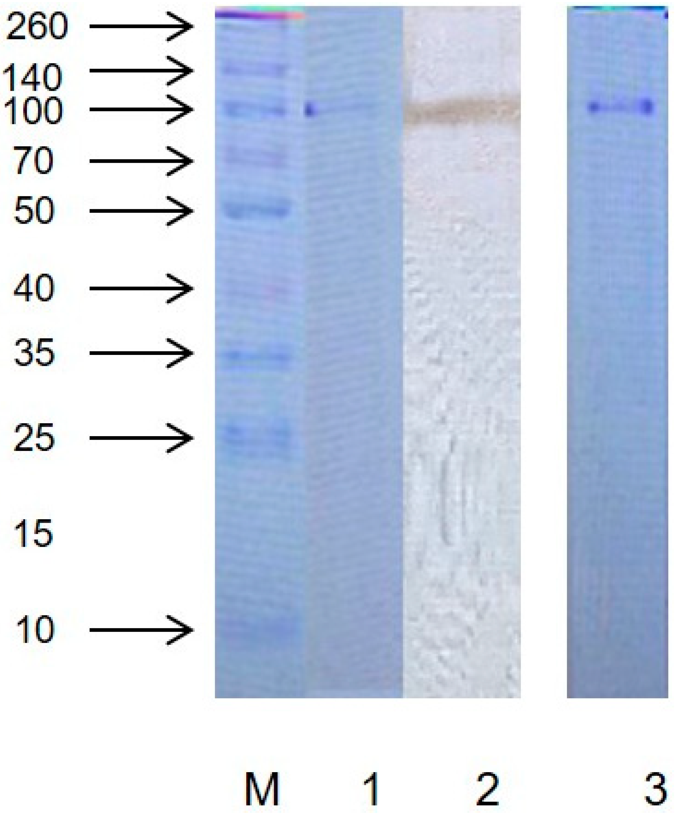 Molecules 24 01922 g001