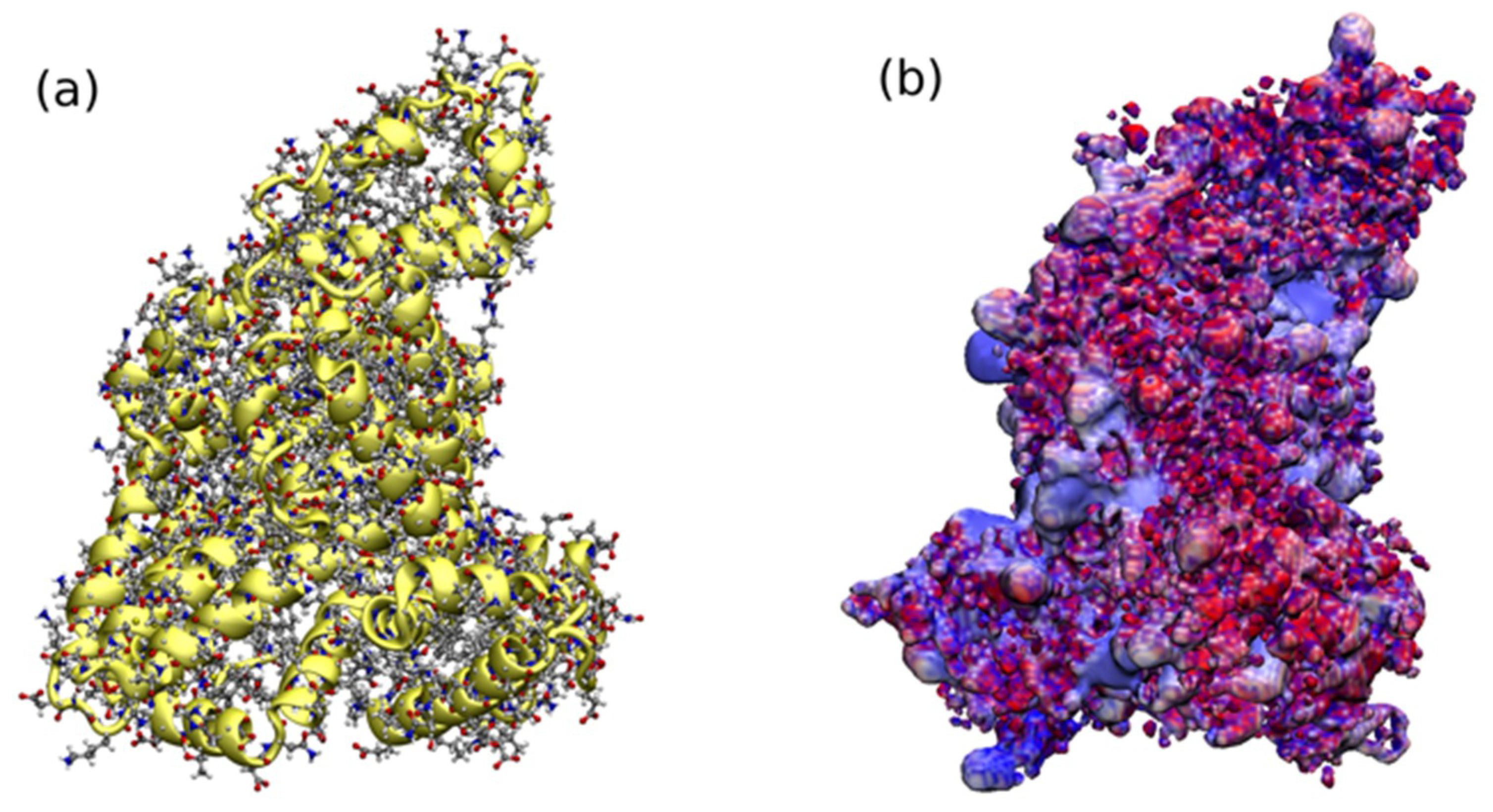Molecules 24 01925 g009