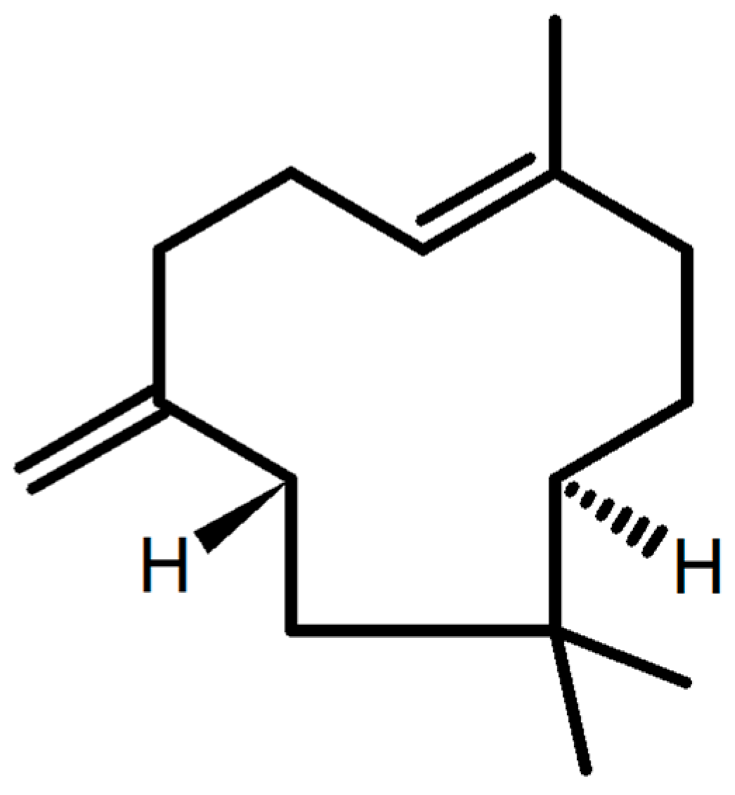 Molecules 24 01929 g001