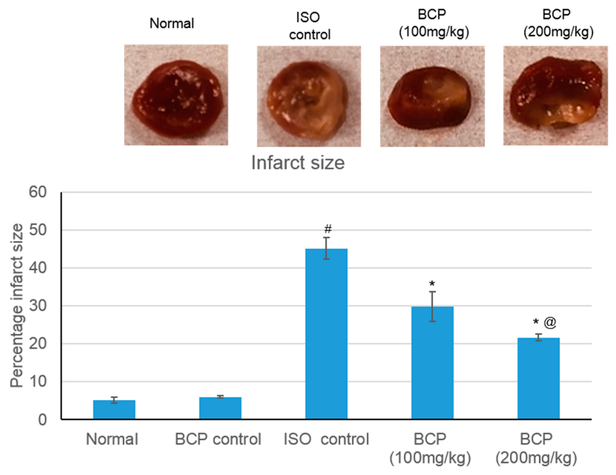 Molecules 24 01929 g002