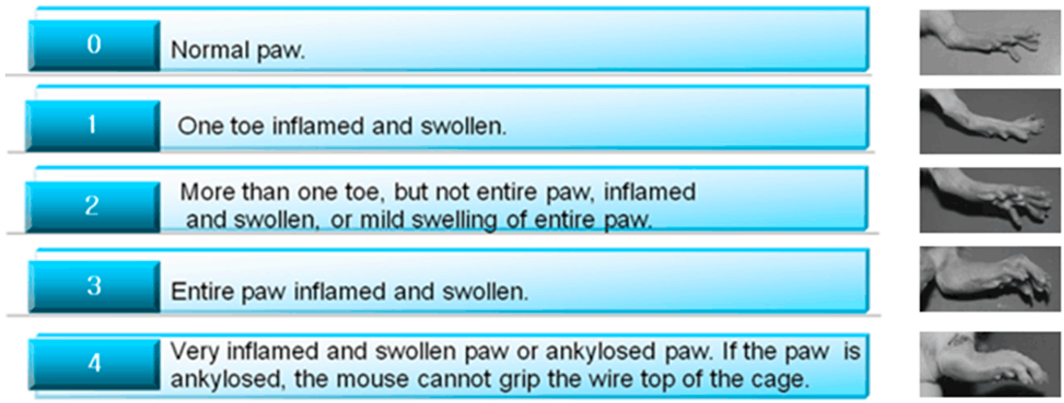 Molecules 24 01934 g009 Molecules 24 01934 g009