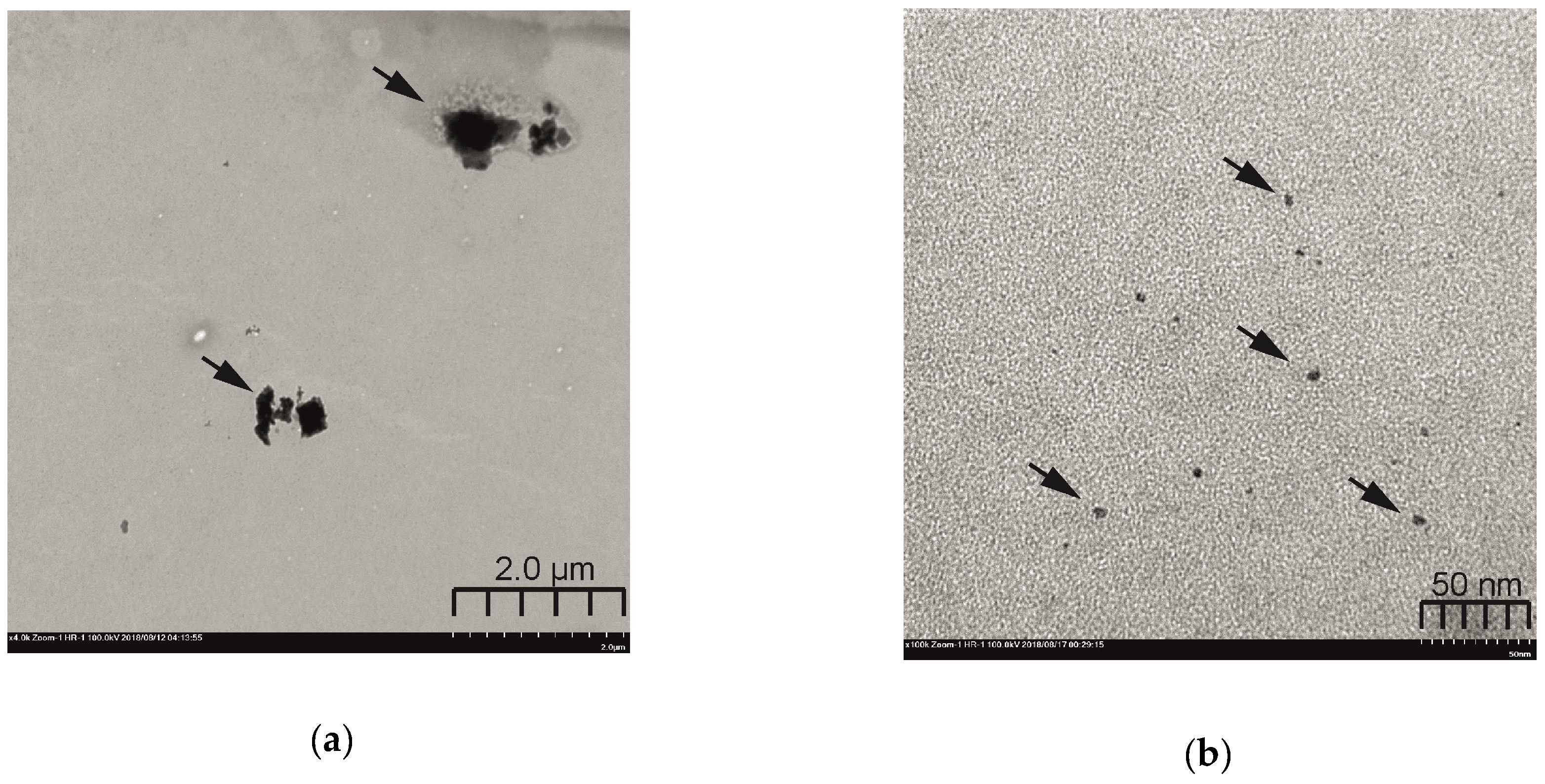 Molecules 24 01939 g005