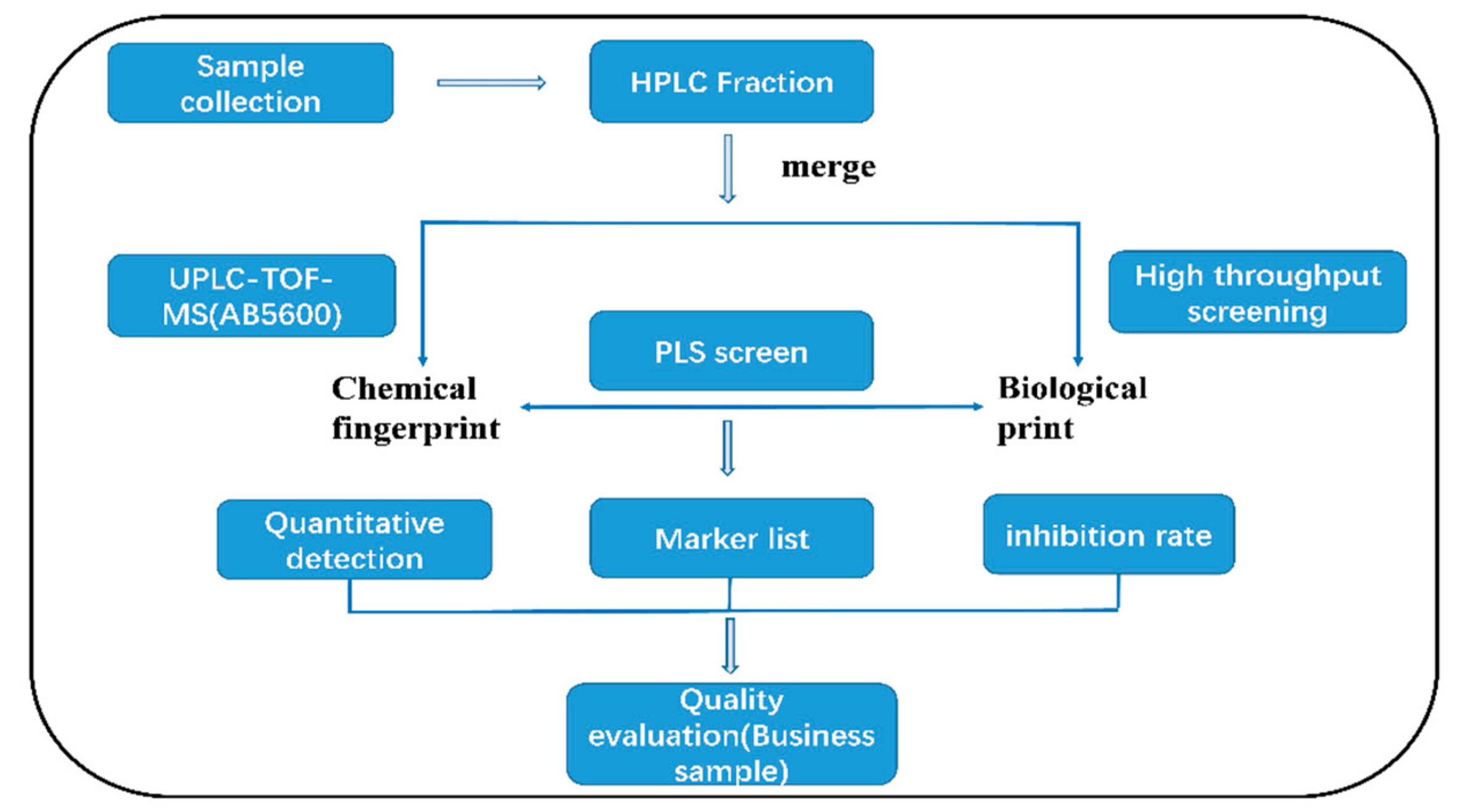 Molecules 24 01943 g001 Molecules 24 01943 g001