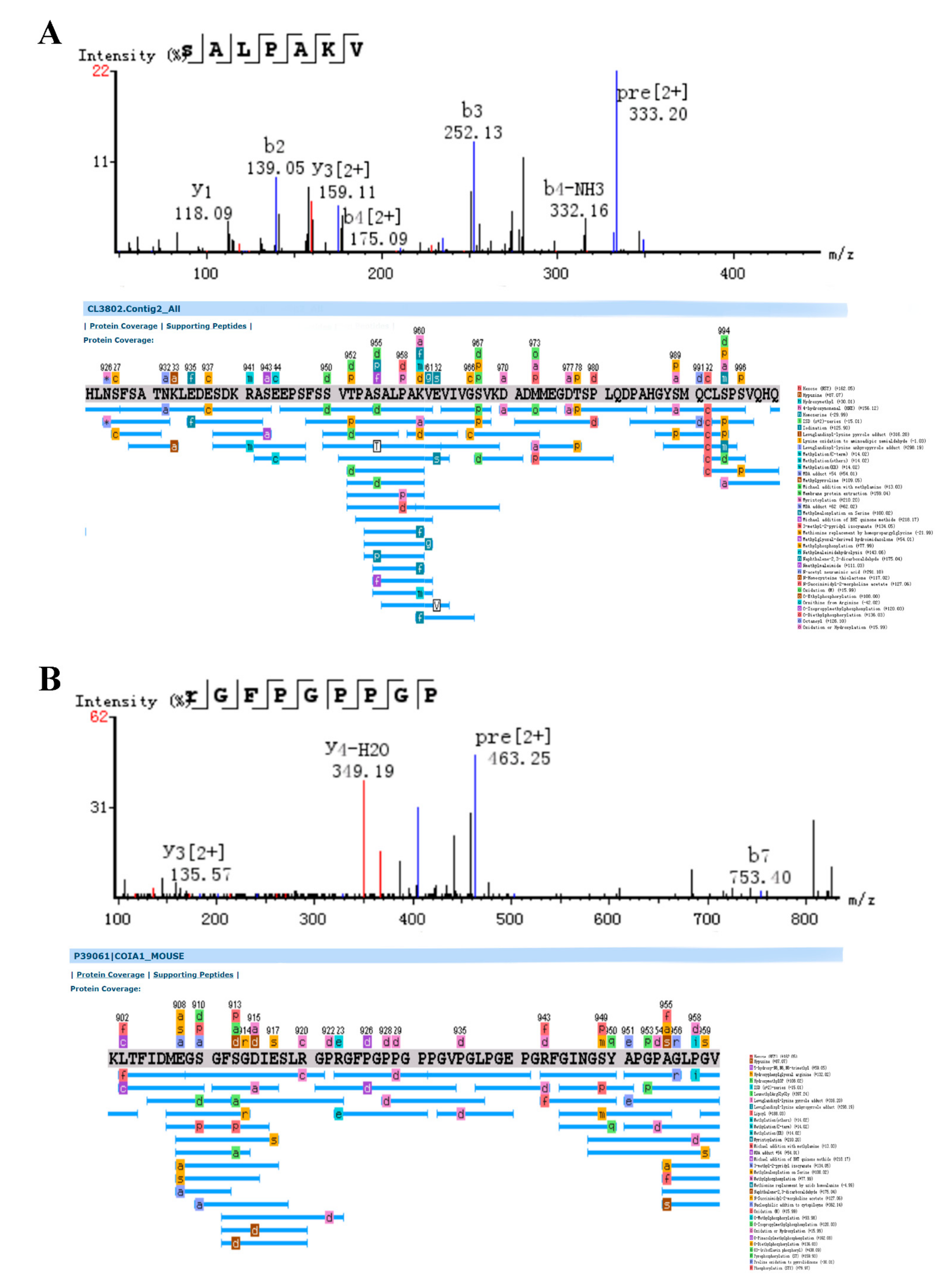 Molecules 24 01943 g004 Molecules 24 01943 g004