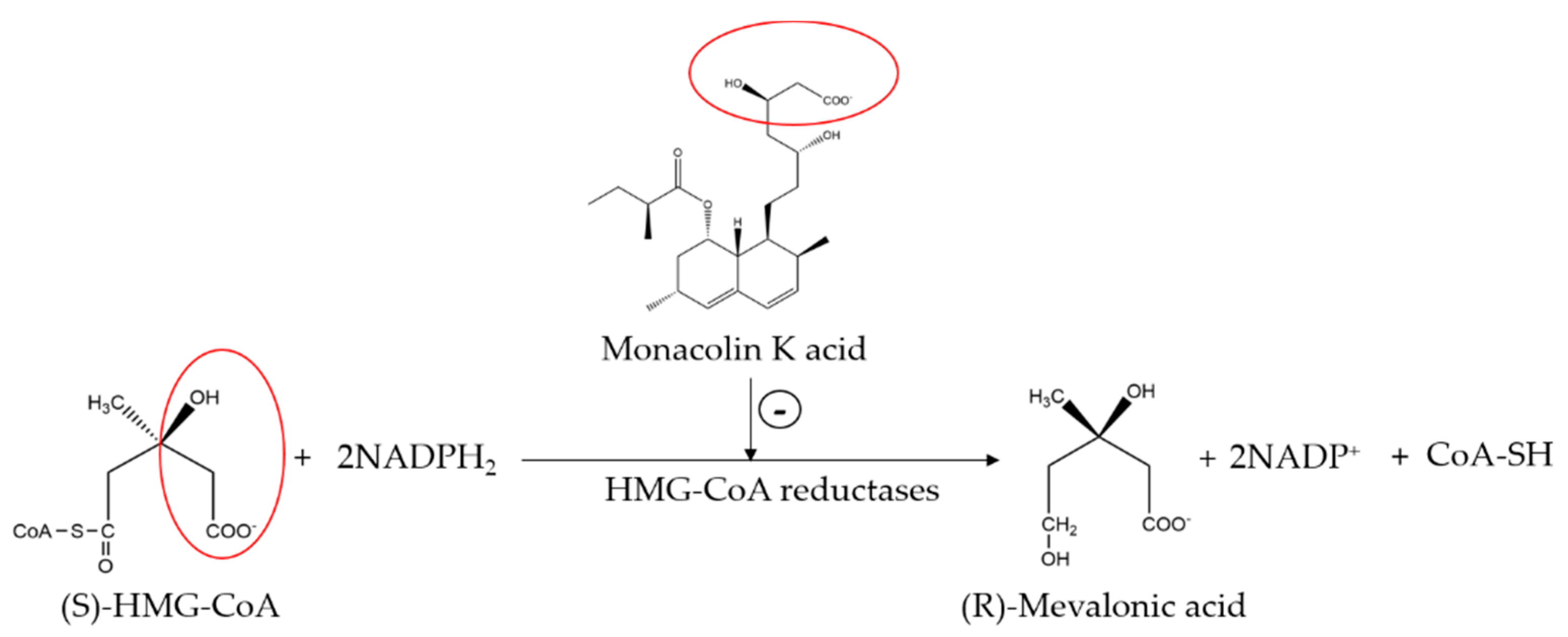 Molecules 24 01944 g003 Molecules 24 01944 g003
