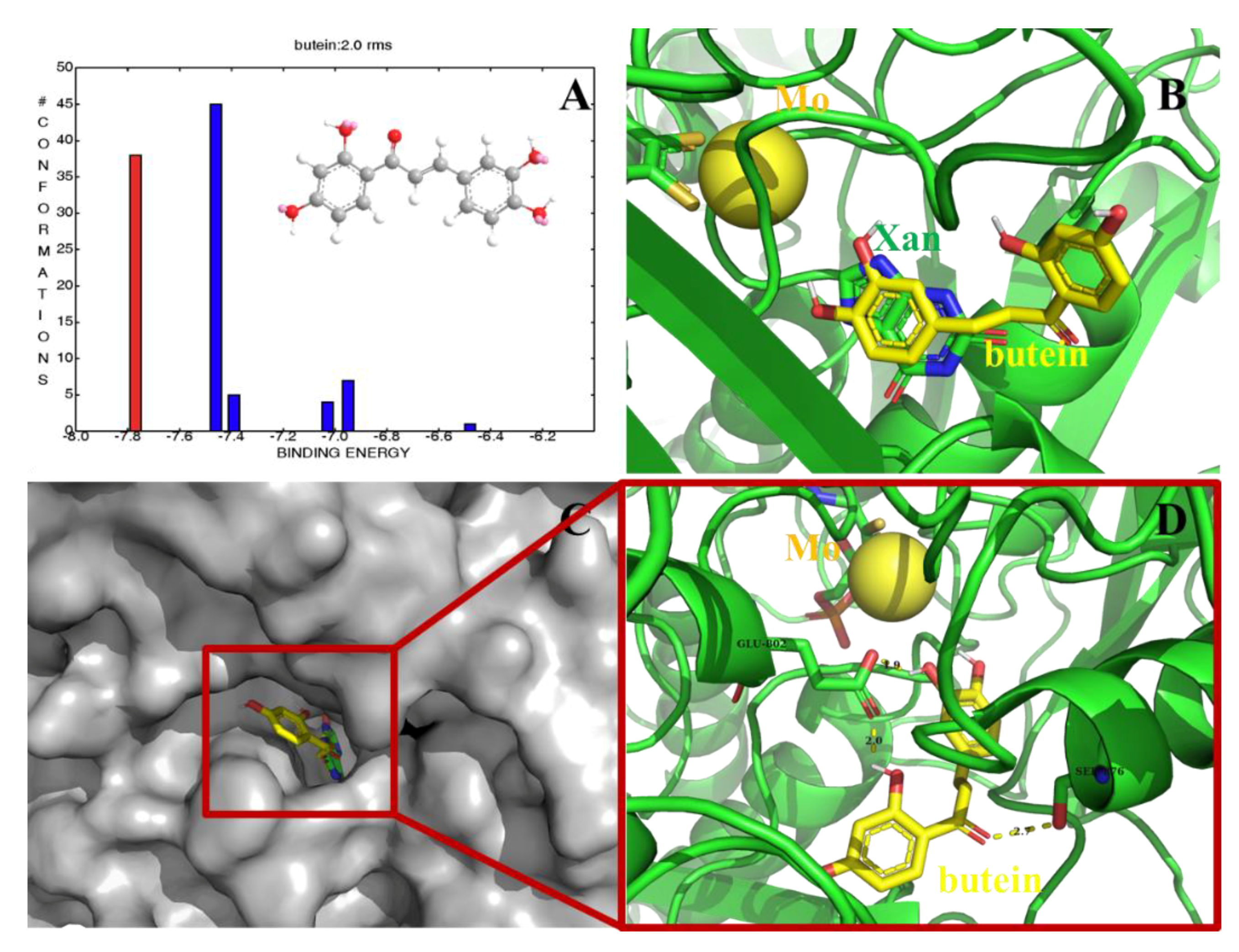 Molecules 24 01948 g006