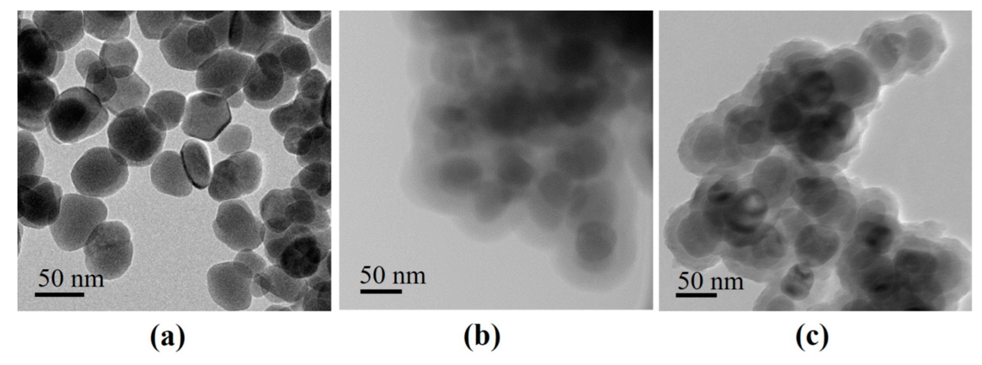 Molecules 24 01958 g002