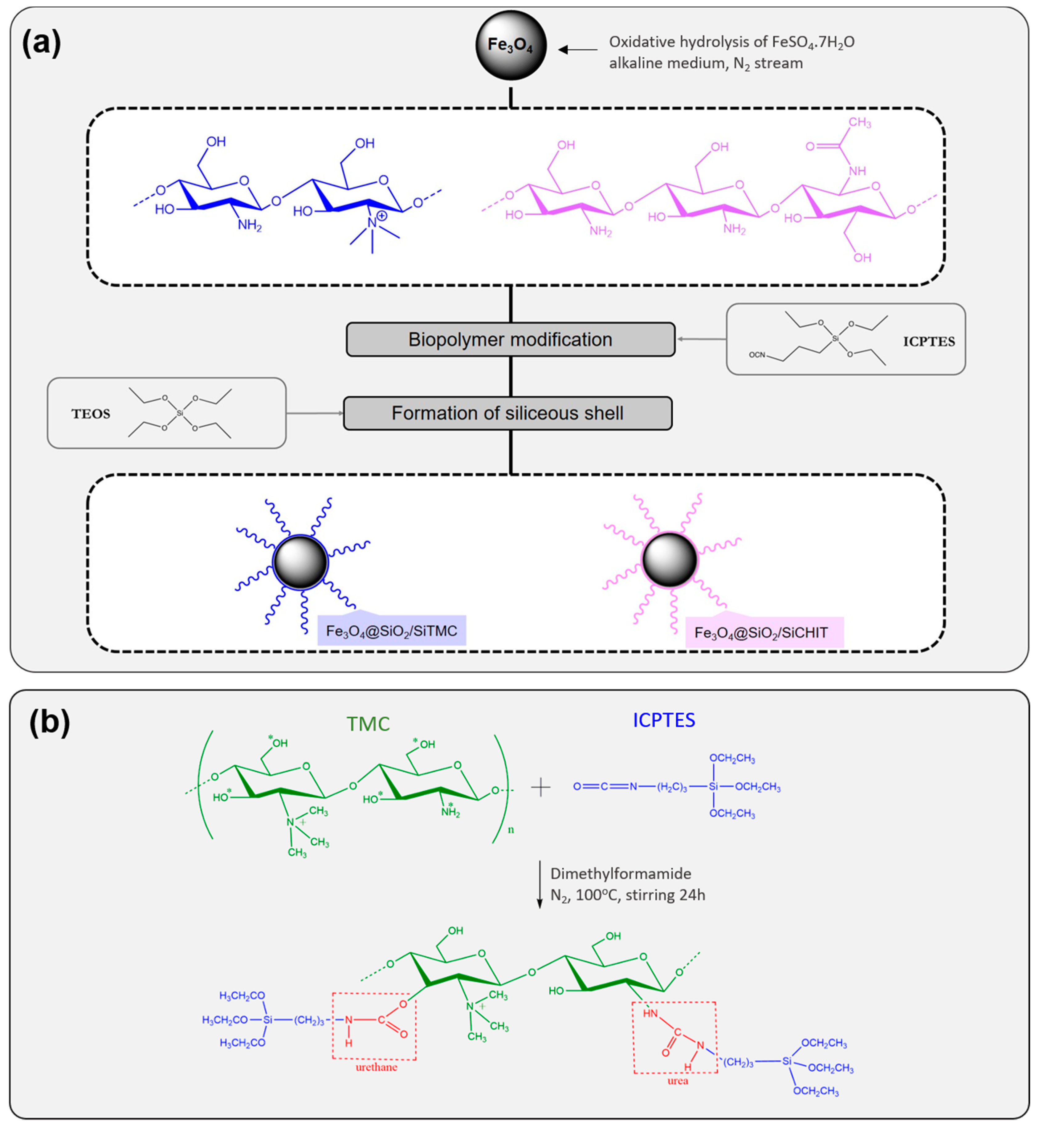 Molecules 24 01958 sch001