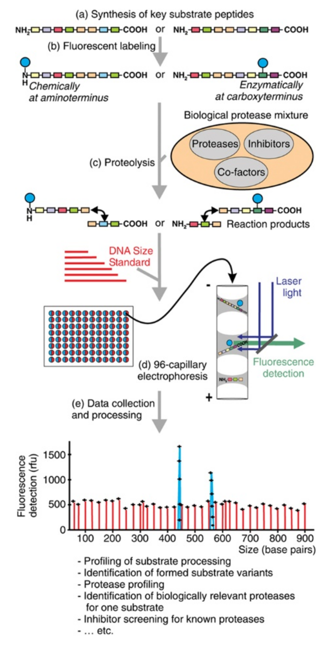 Molecules 24 01977 g005
