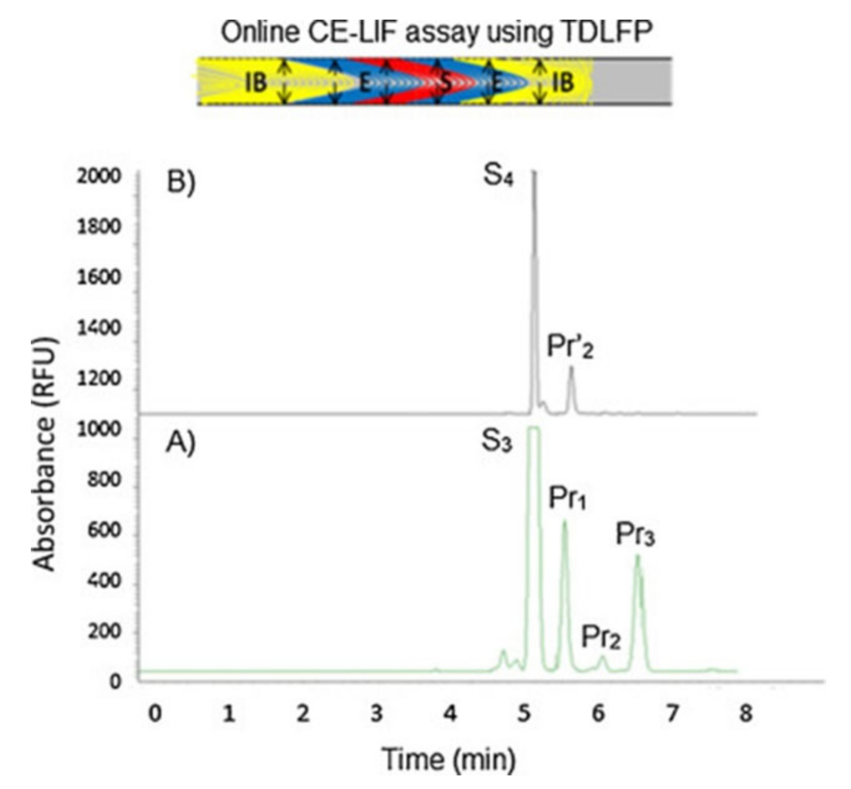 Molecules 24 01977 g006