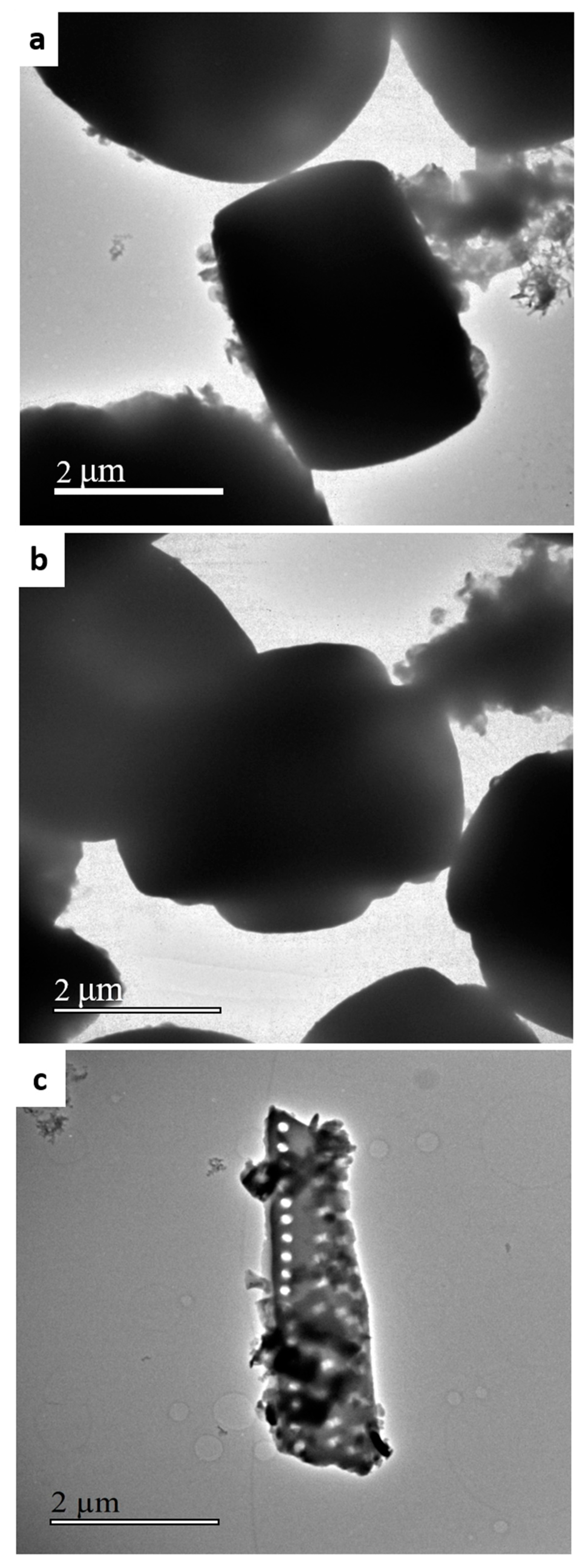 Molecules 24 01980 g004