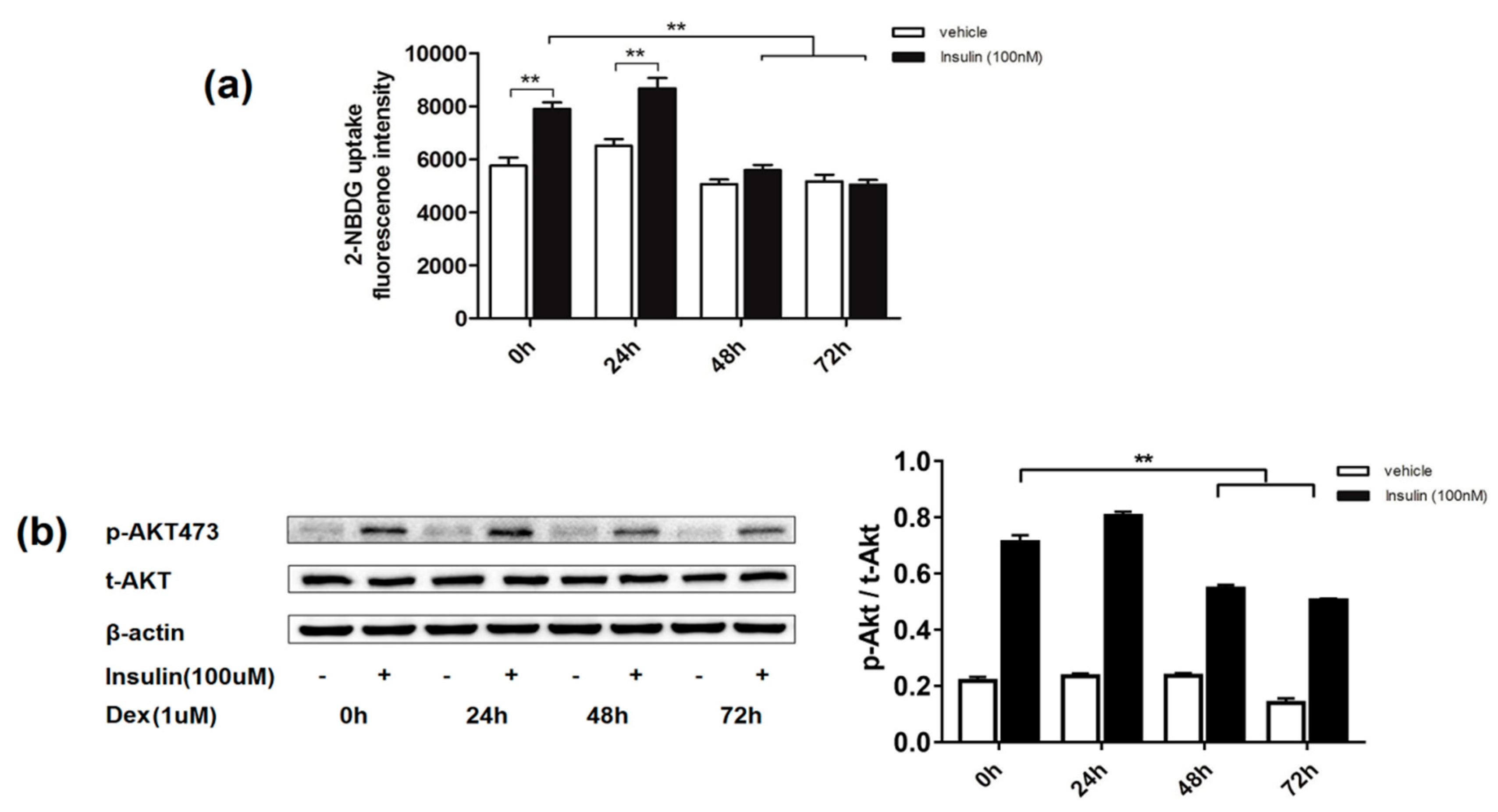 Molecules 24 01982 g001 Molecules 24 01982 g001