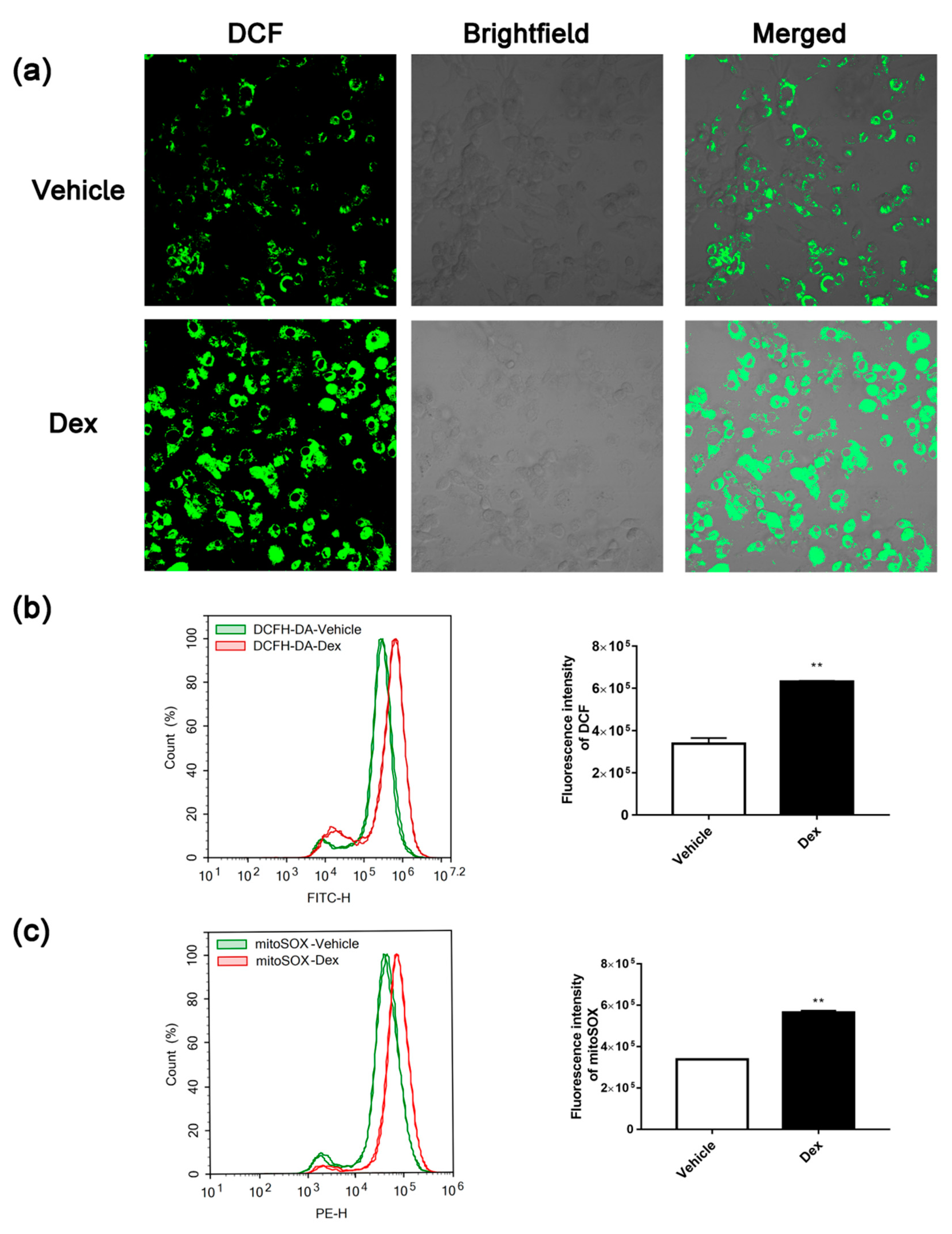 Molecules 24 01982 g002 Molecules 24 01982 g002