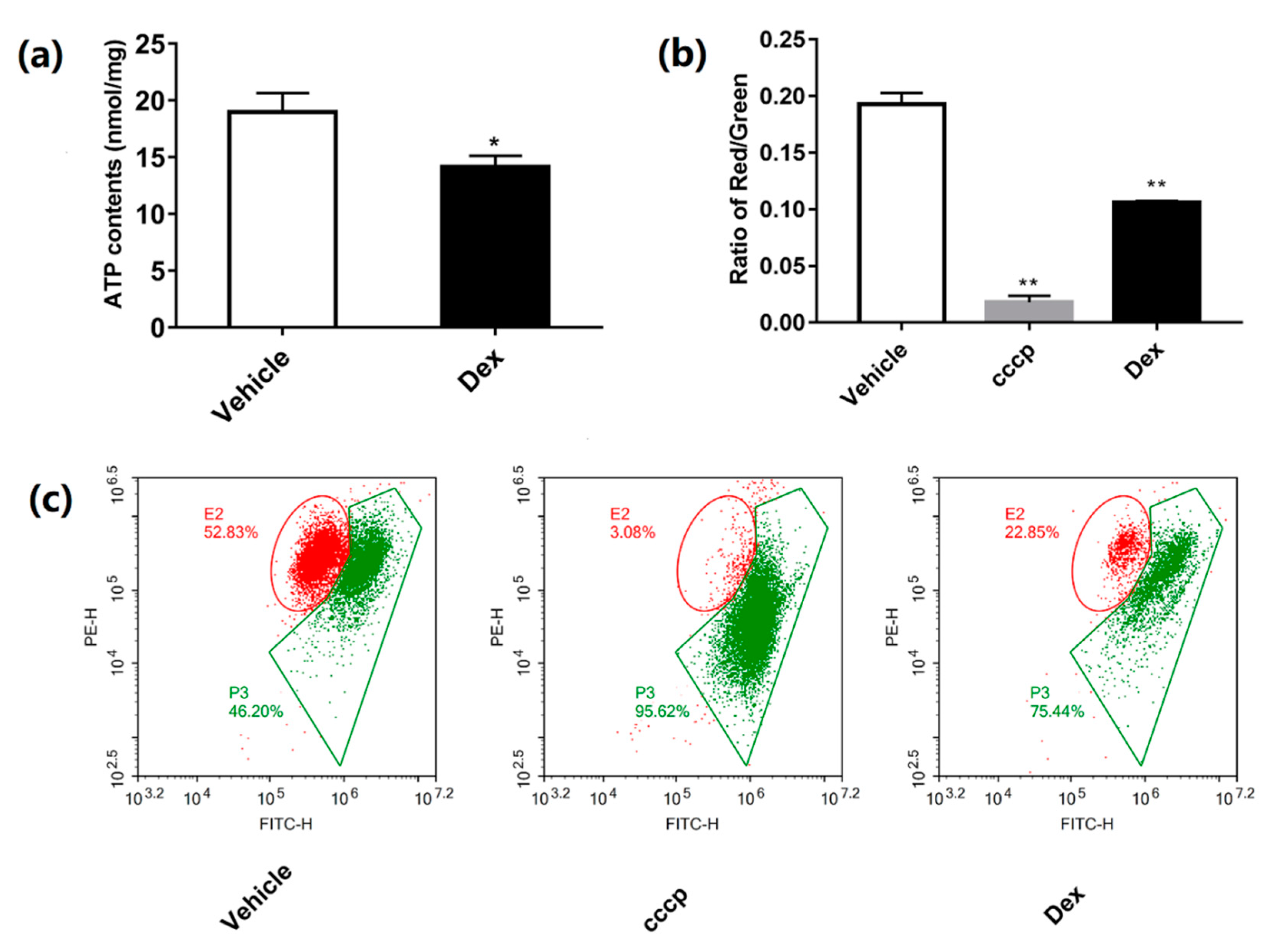 Molecules 24 01982 g003 Molecules 24 01982 g003