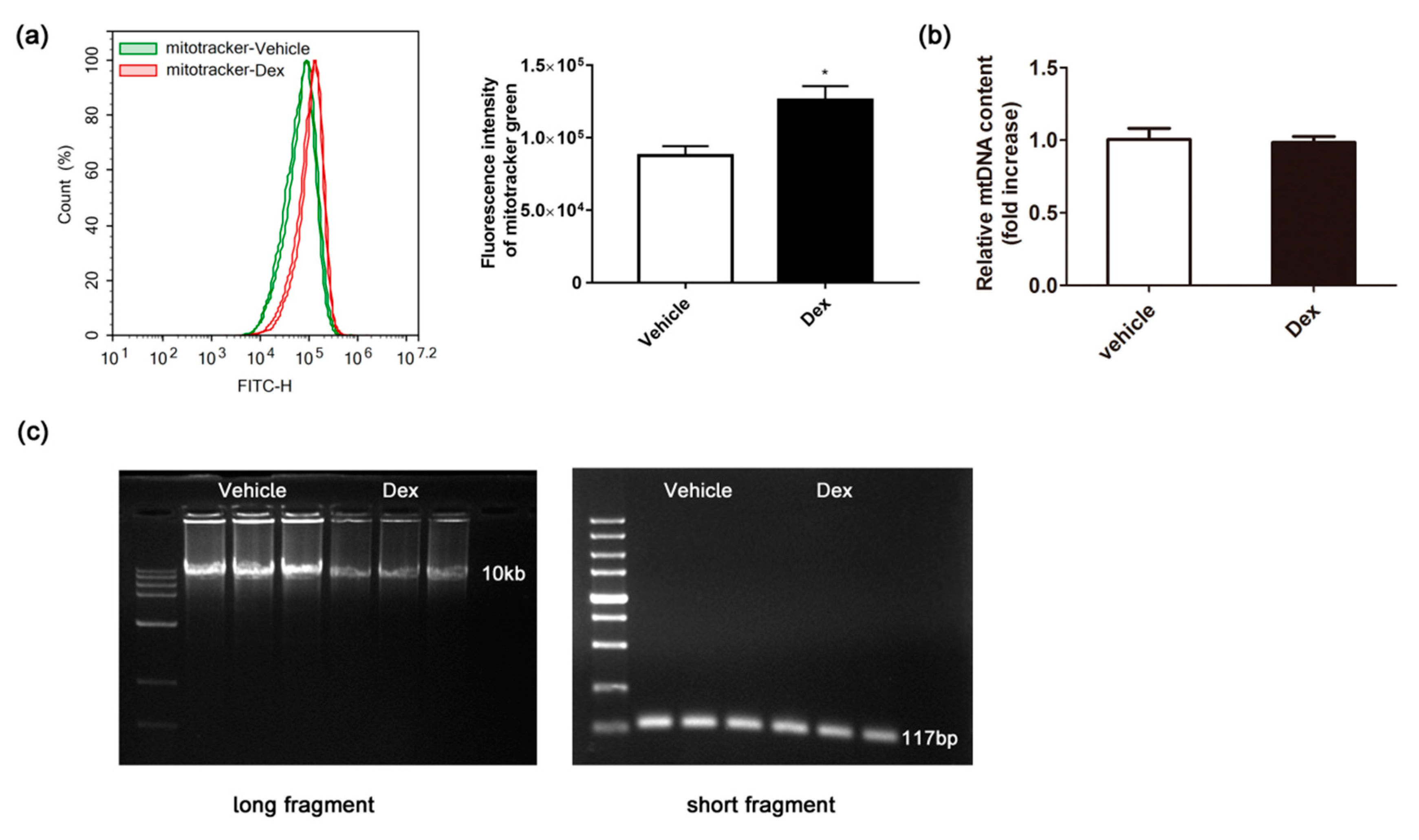 Molecules 24 01982 g004 Molecules 24 01982 g004