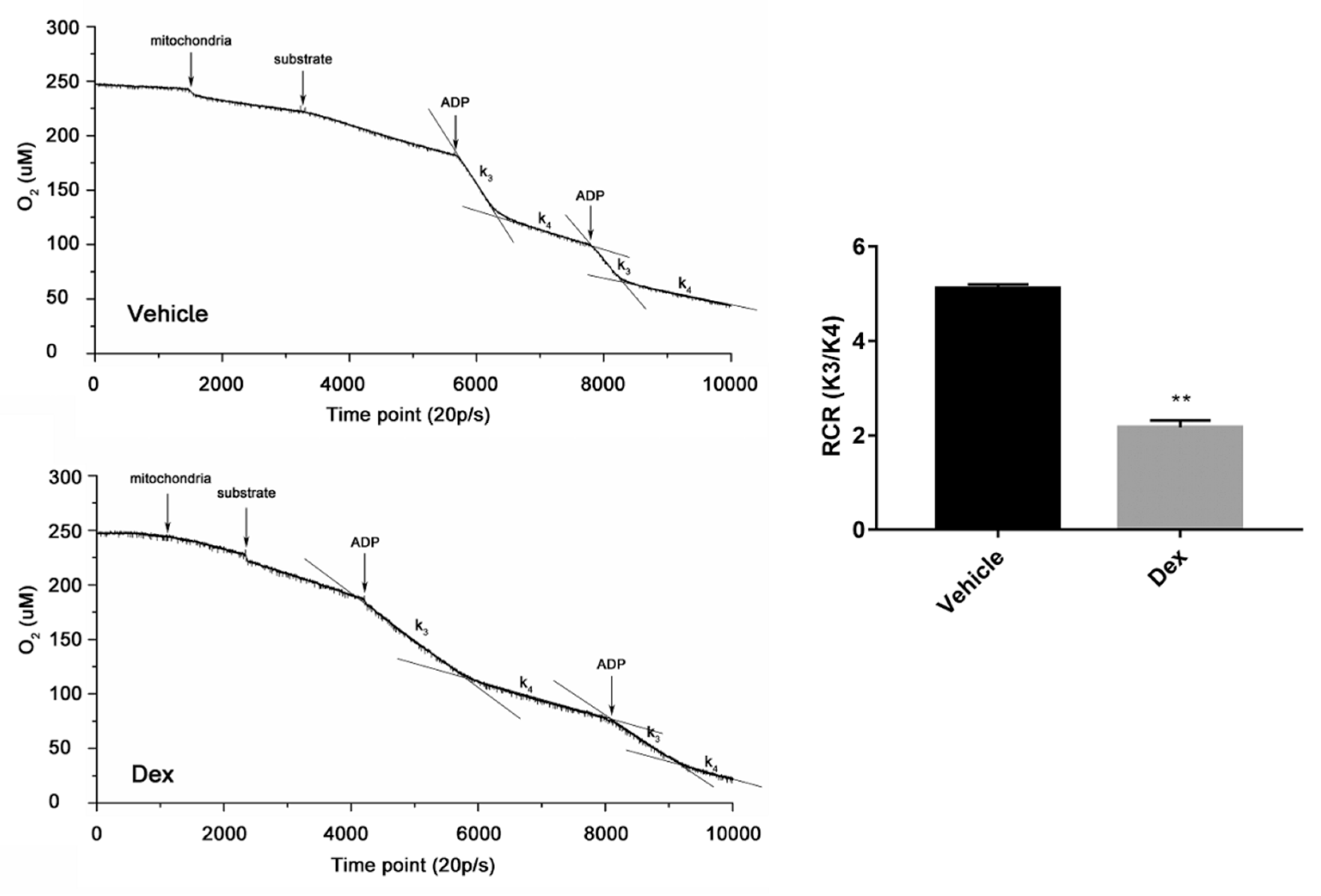 Molecules 24 01982 g006 Molecules 24 01982 g006