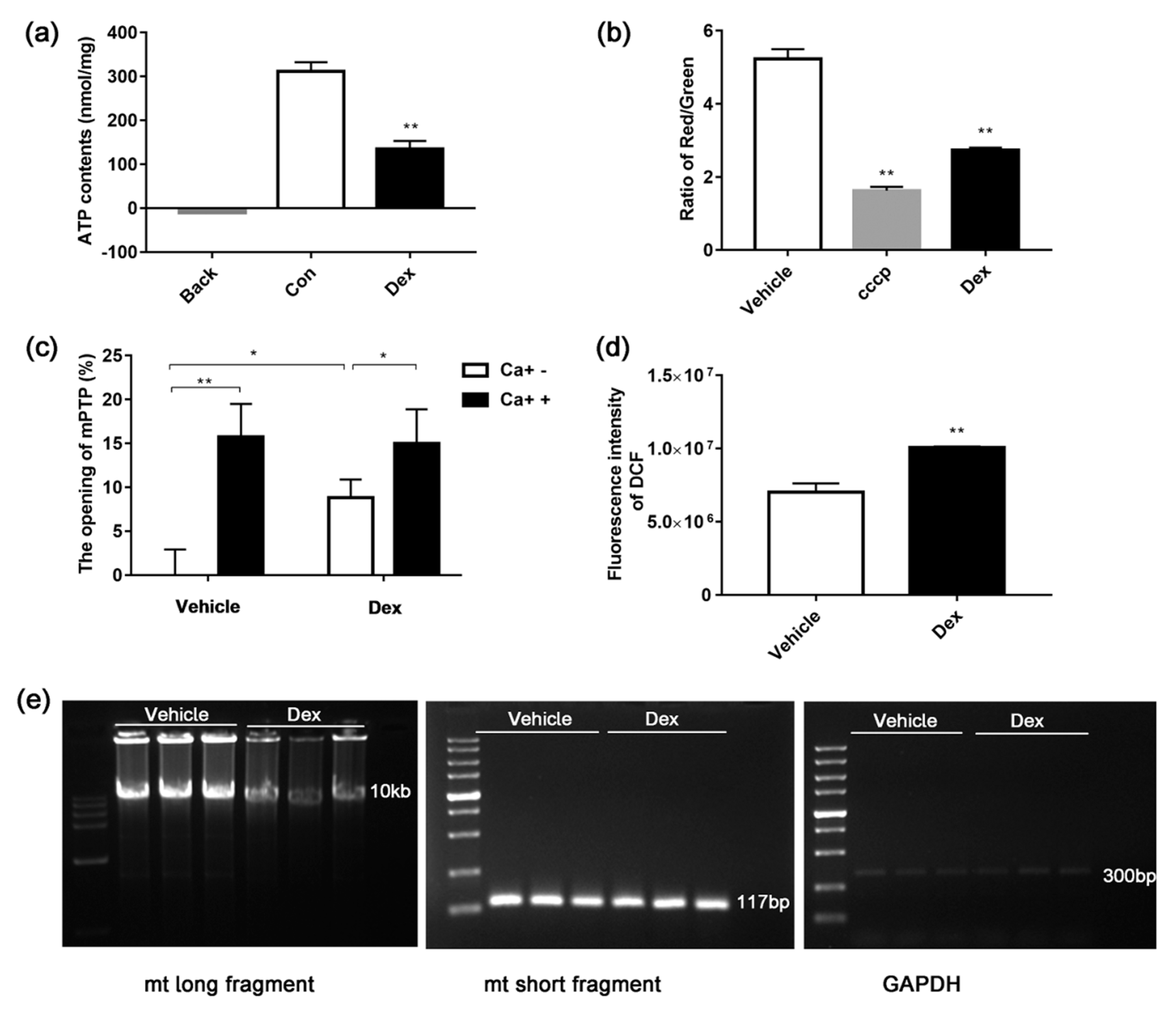 Molecules 24 01982 g007 Molecules 24 01982 g007