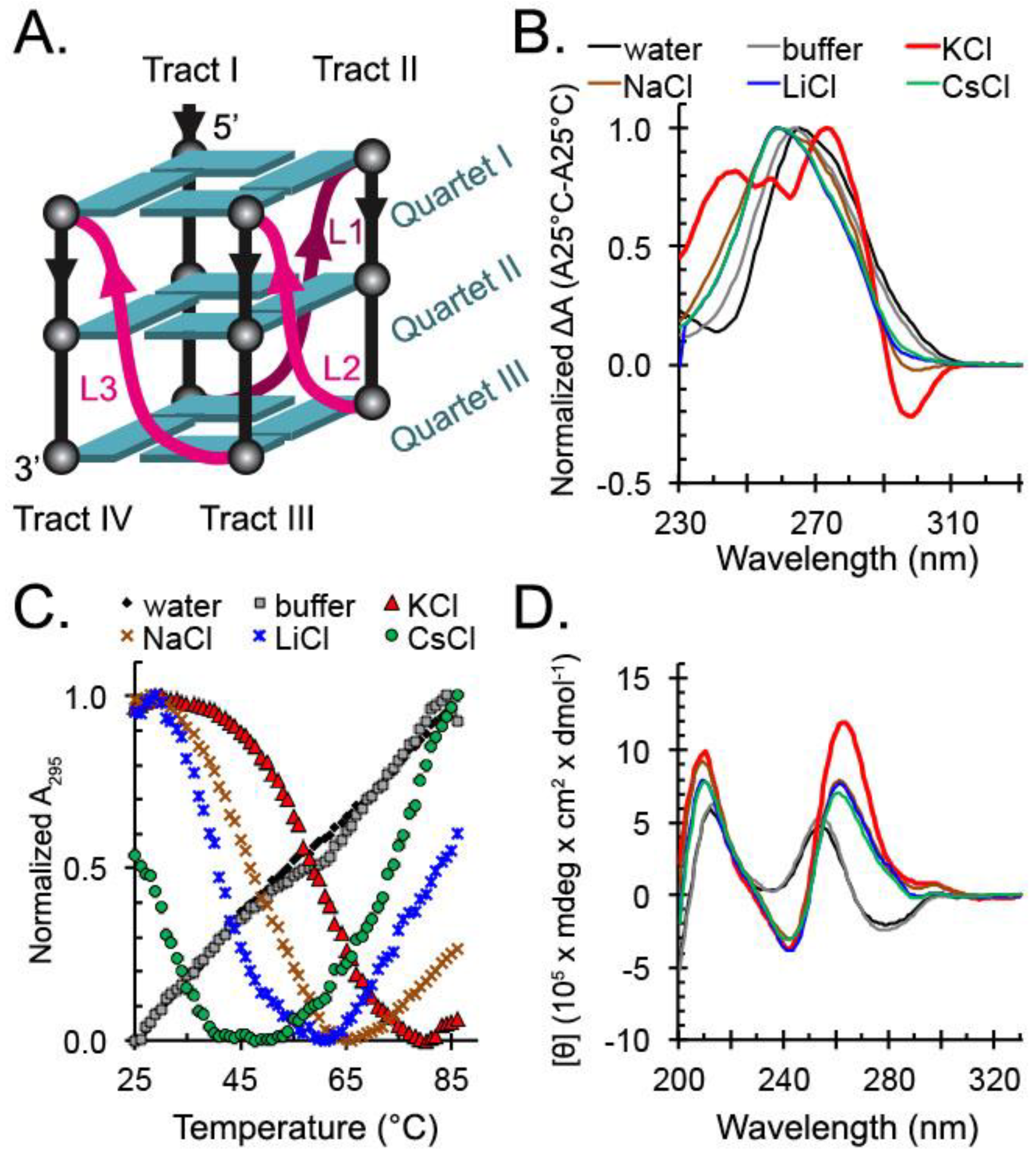 Molecules 24 01988 g001