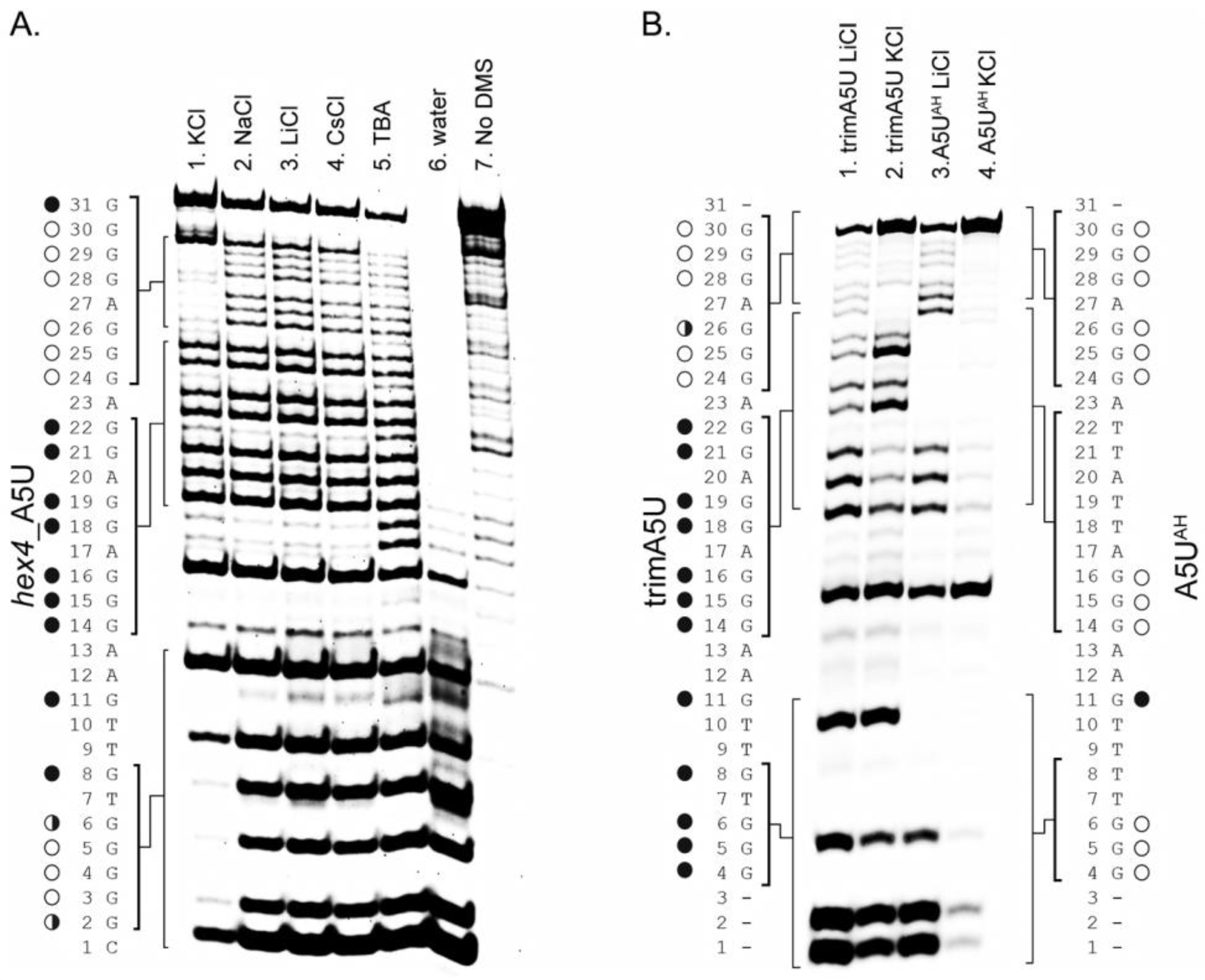 Molecules 24 01988 g004