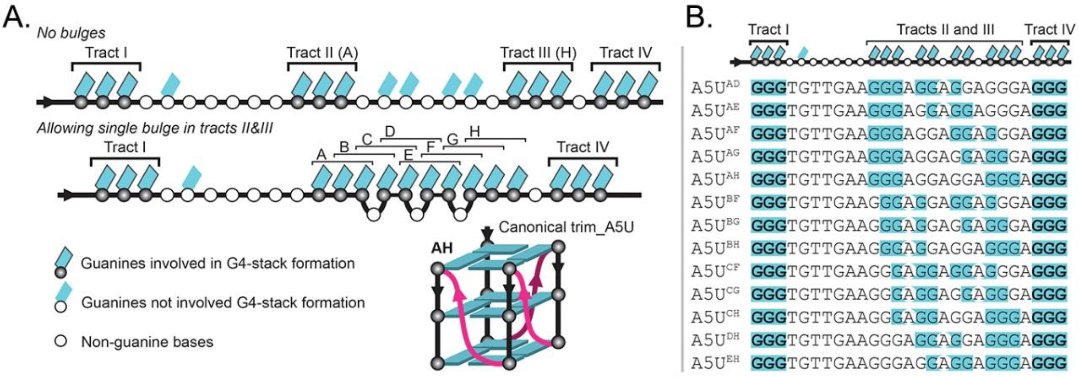 Molecules 24 01988 g006