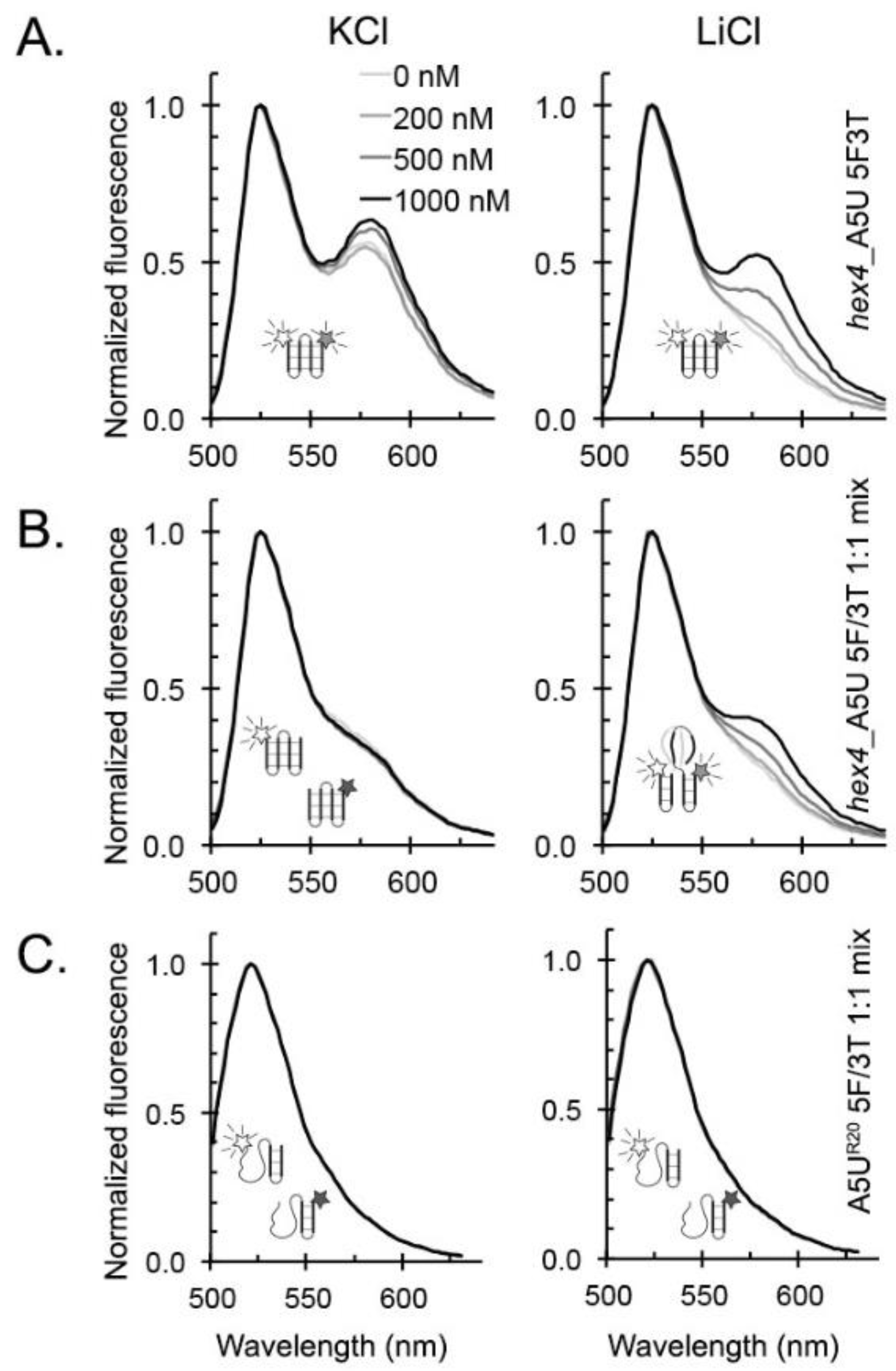 Molecules 24 01988 g009