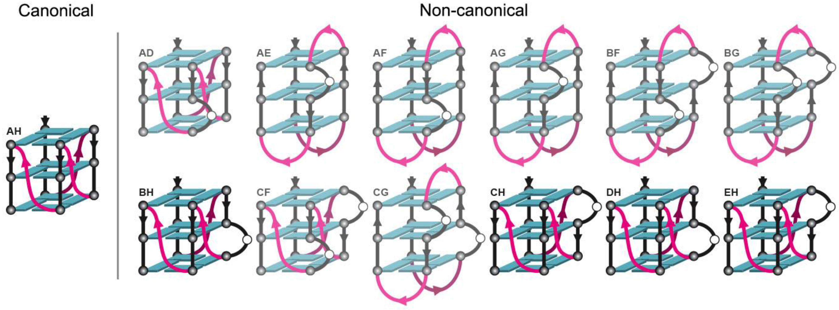 Molecules 24 01988 g011