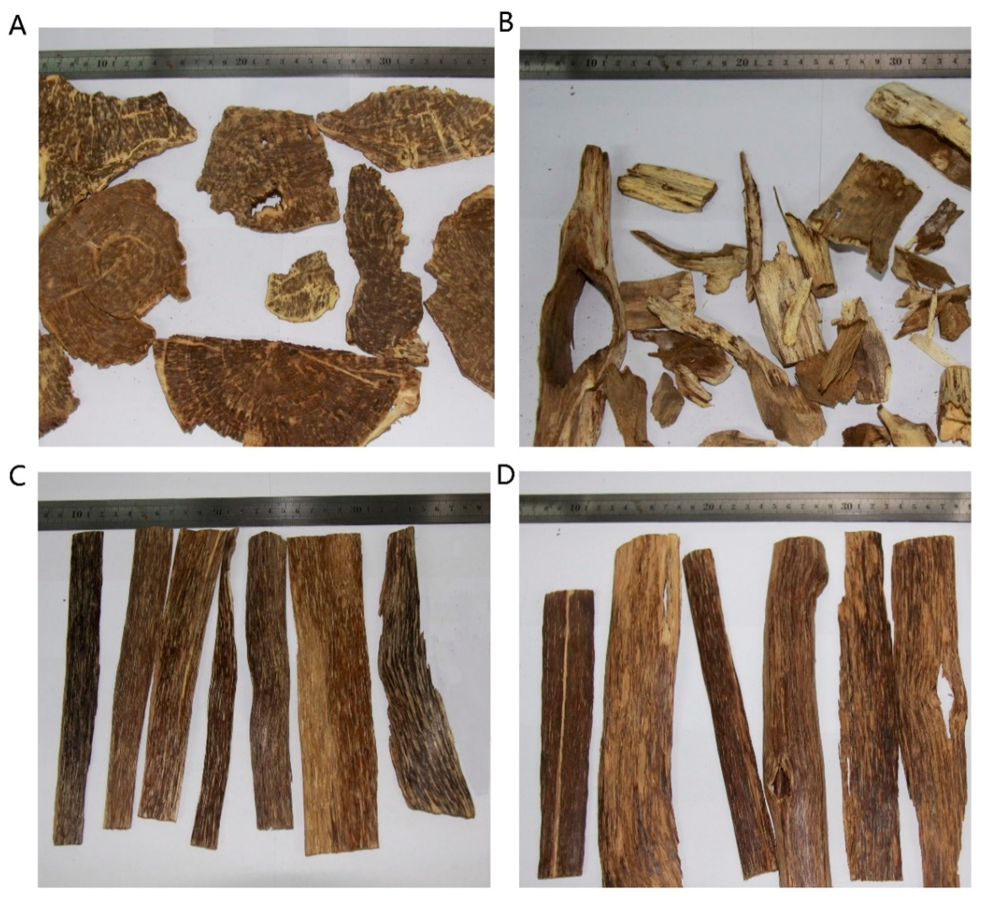 Molecules 24 01990 g001