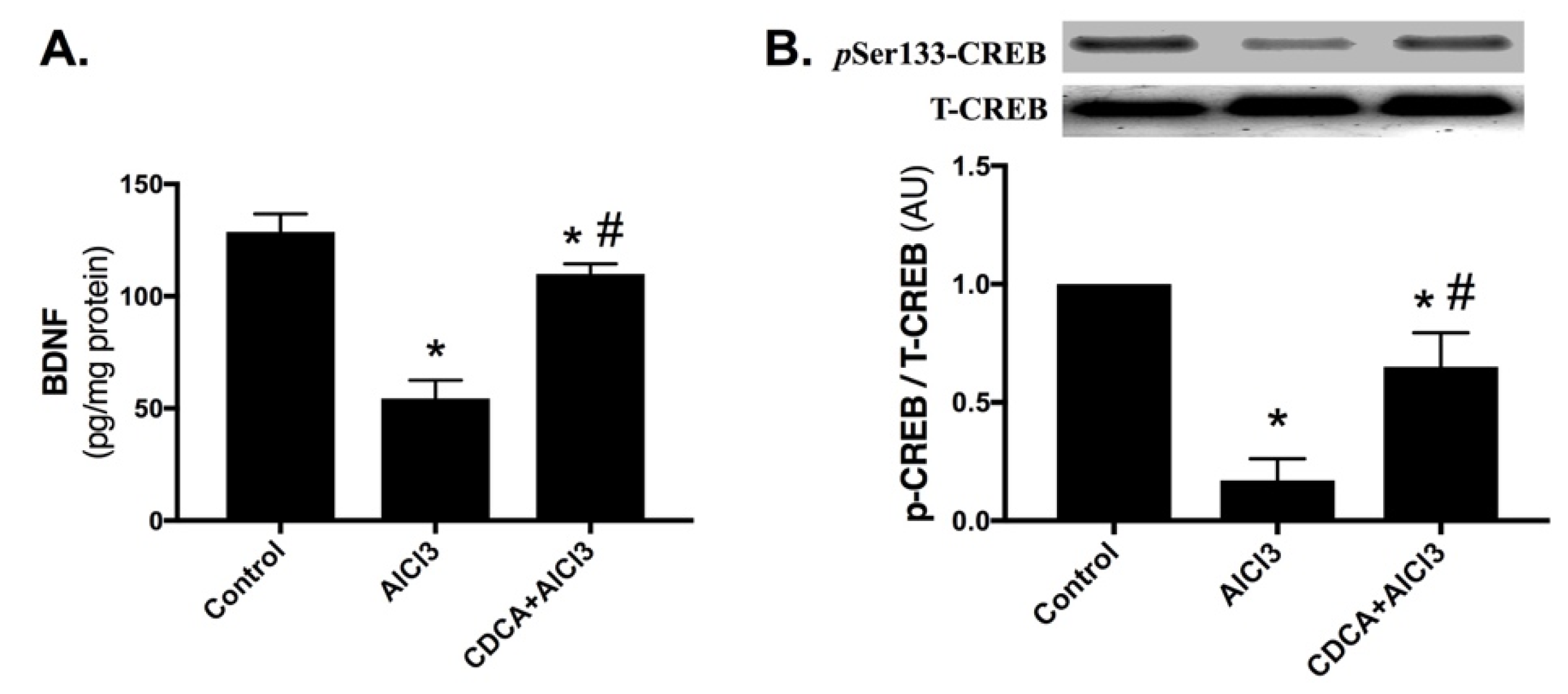 Molecules 24 01992 g005 Molecules 24 01992 g005