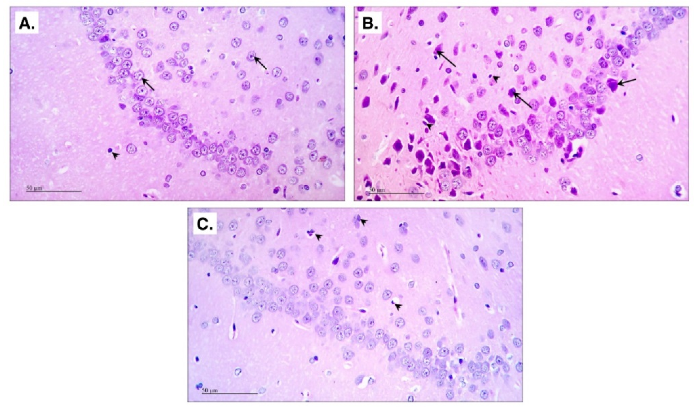 Molecules 24 01992 g006 Molecules 24 01992 g006