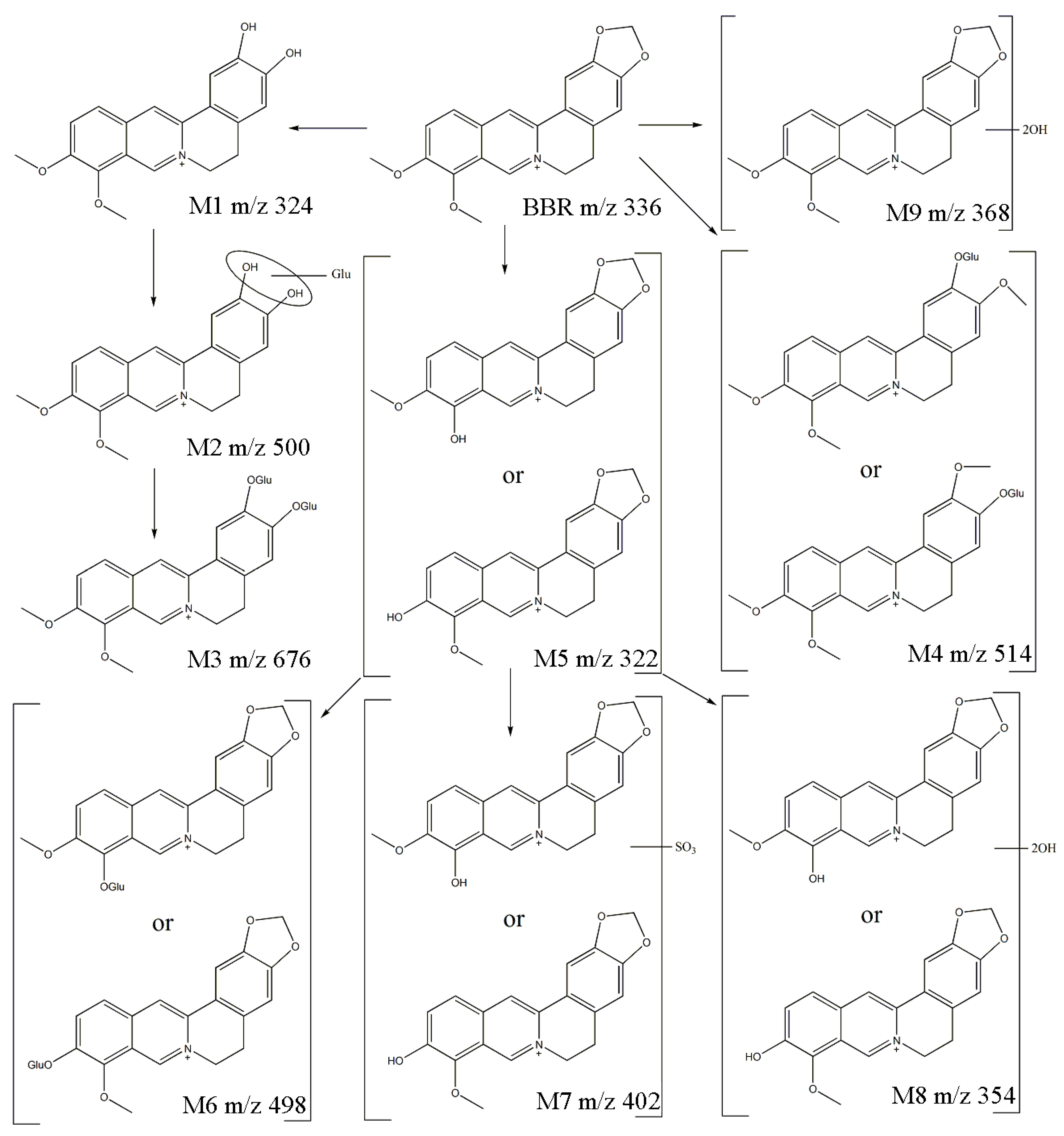 Molecules 24 01994 g005 Molecules 24 01994 g005