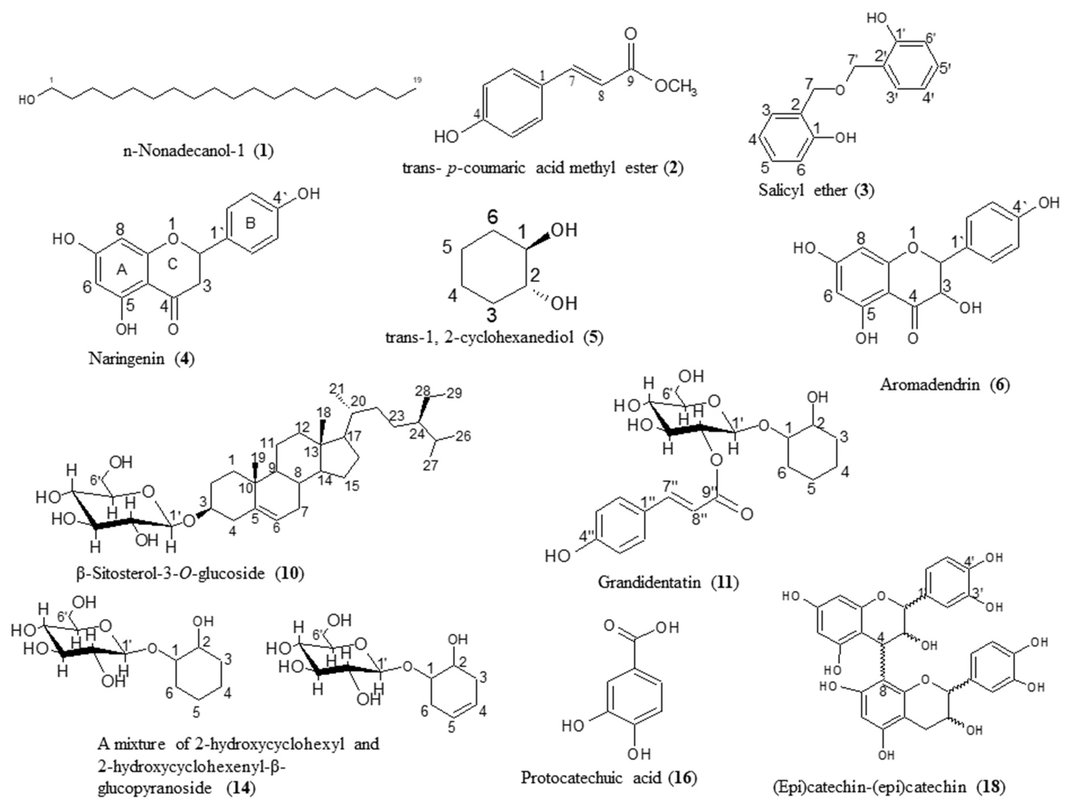 Molecules 24 01999 g001a