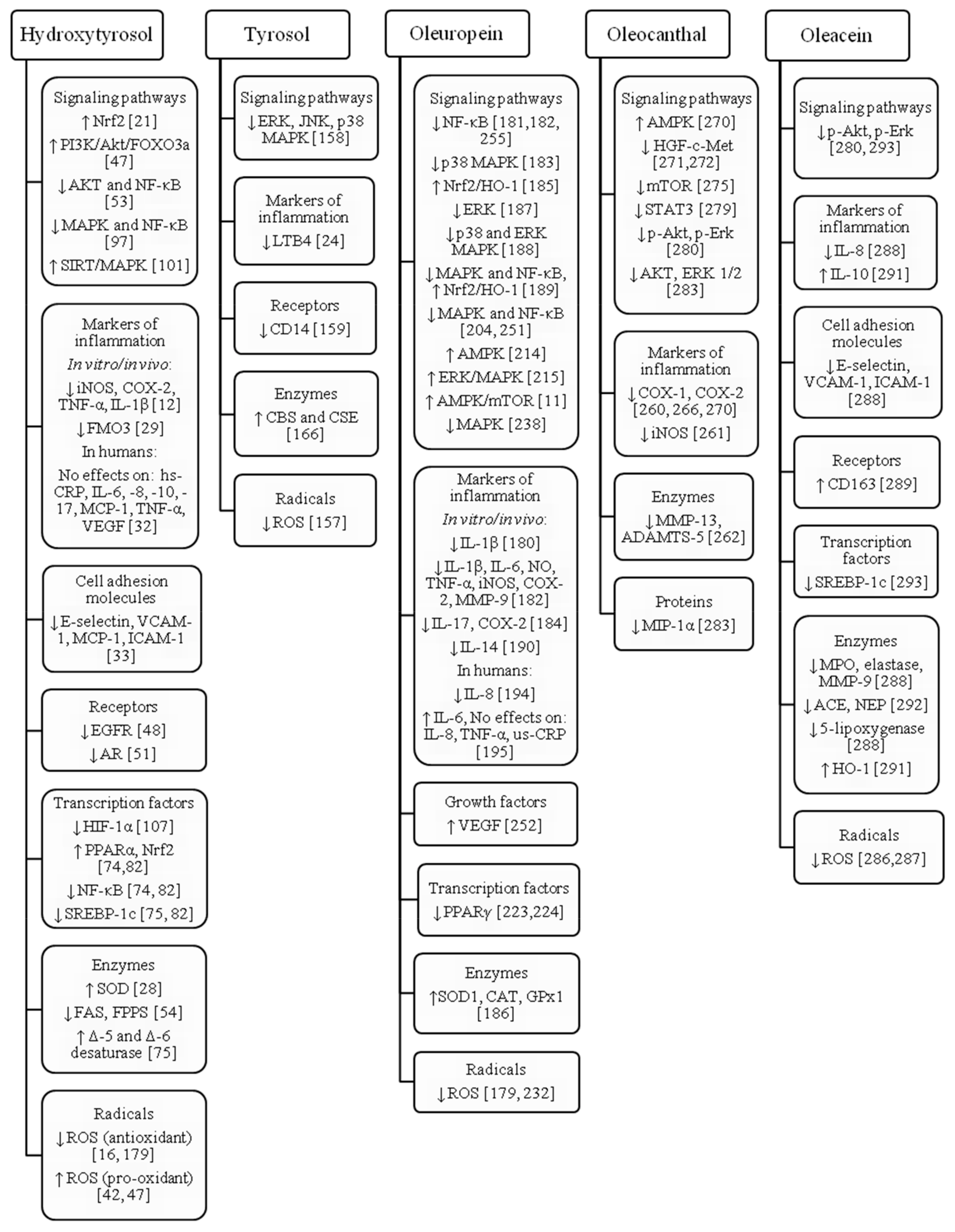 Molecules 24 02001 g001