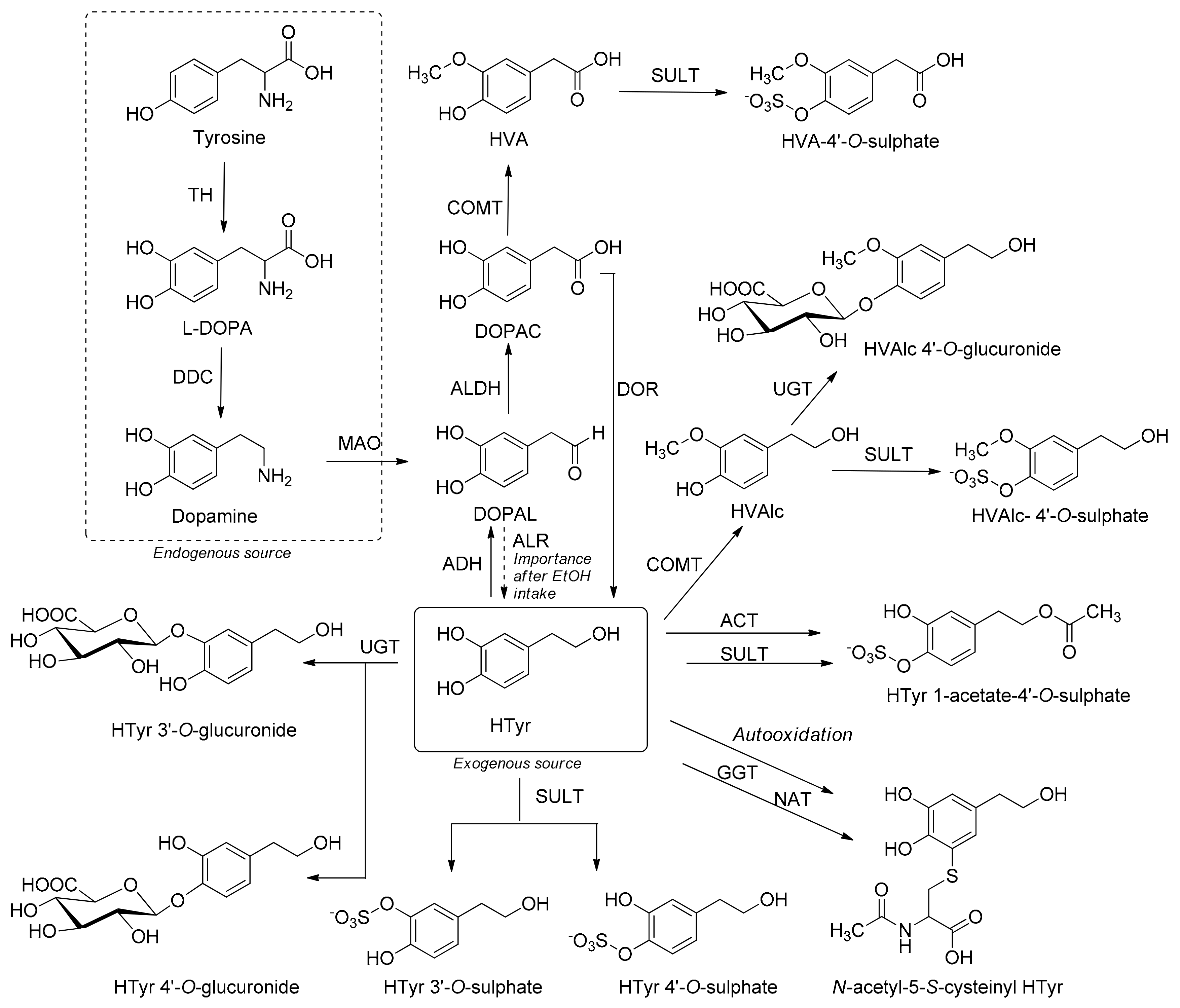 Molecules 24 02001 sch002
