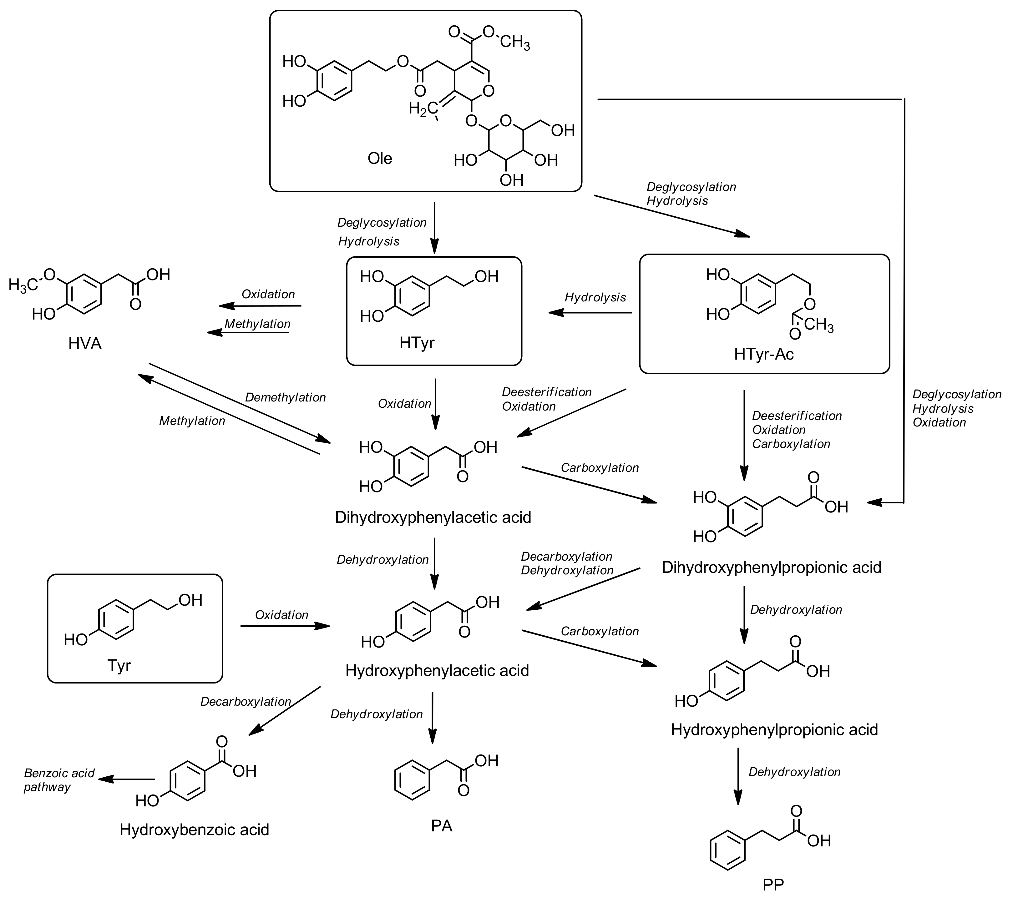 Molecules 24 02001 sch003